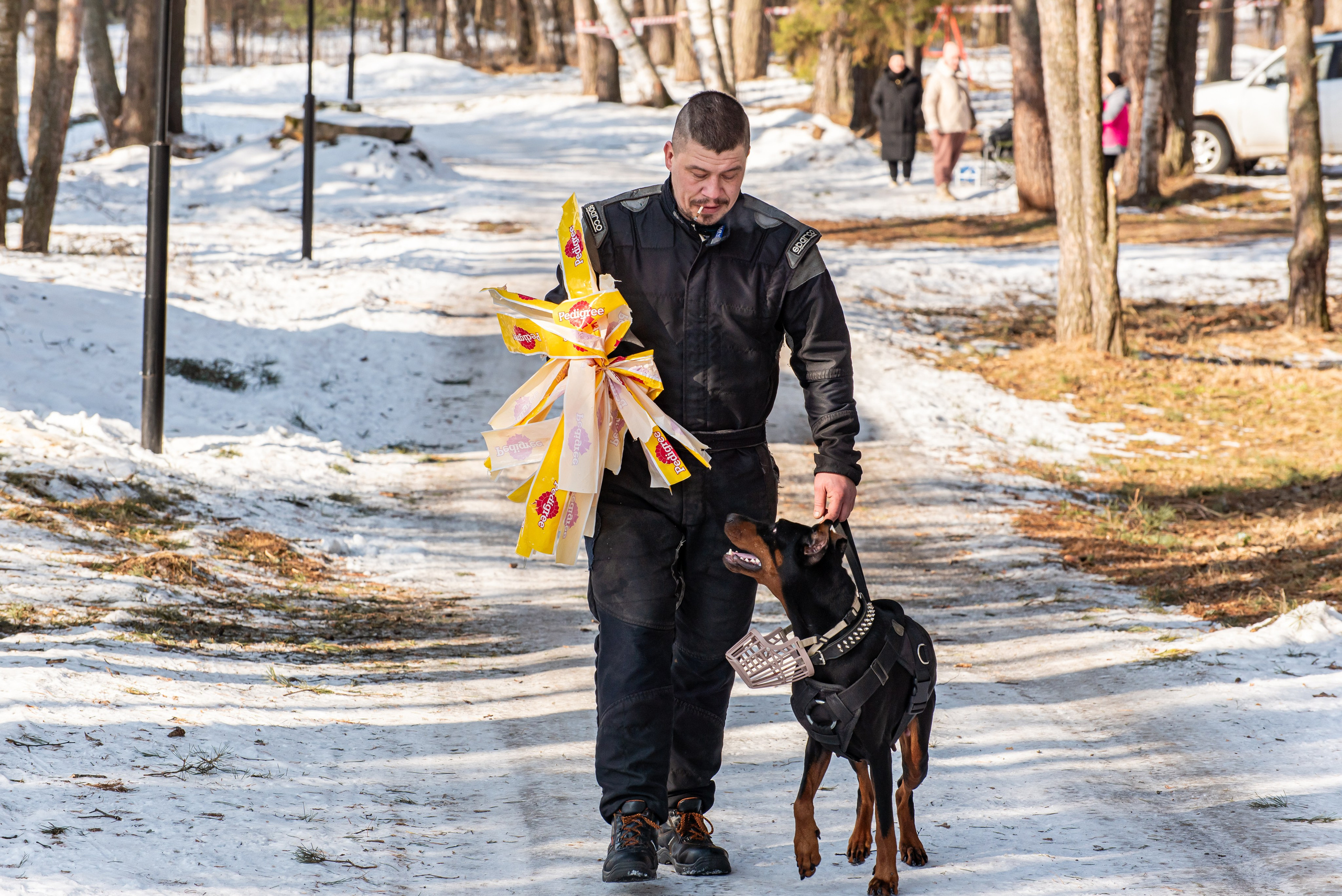 Фотосъёмка с собаками в Кинологическом лагере. Фотограф Макс Огурцов в Нижнем Новгороде