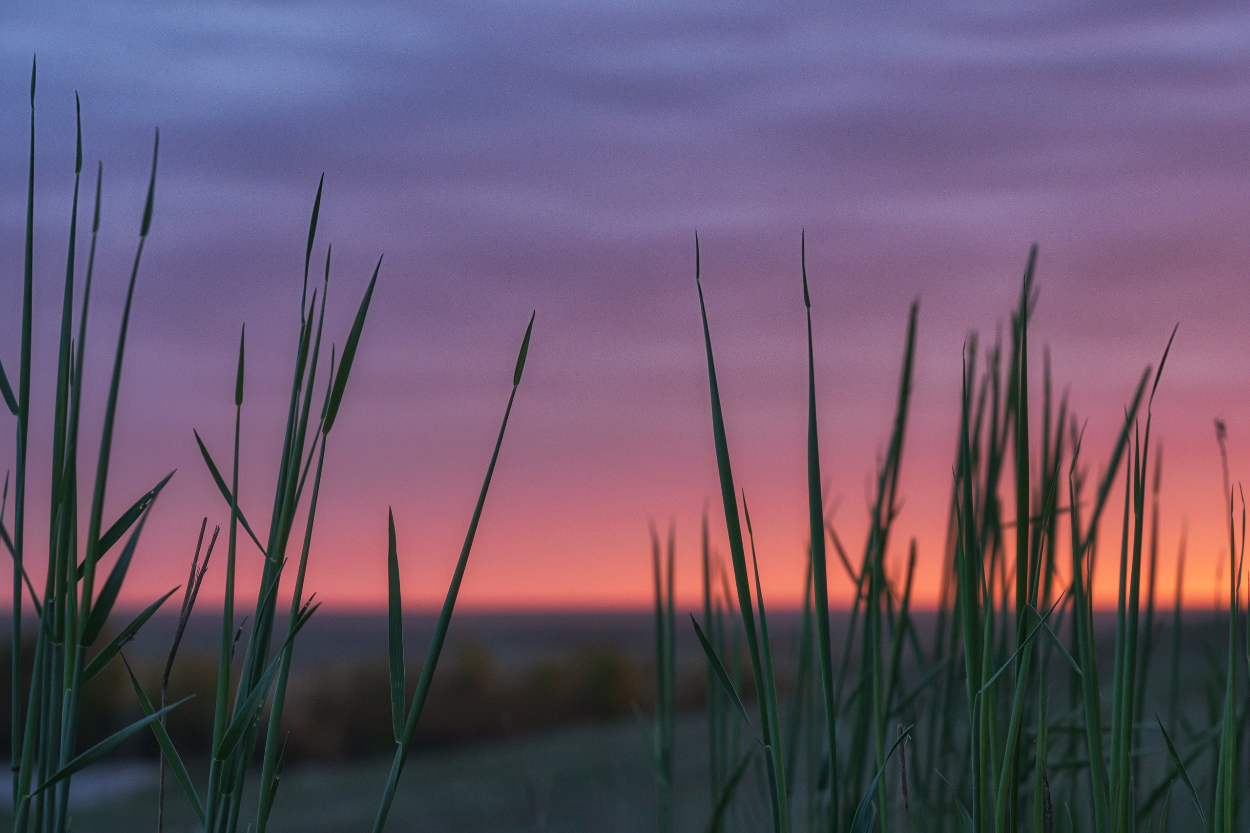 Оренбуржье. Портретный фотограф в Челябинске Катерина Руди