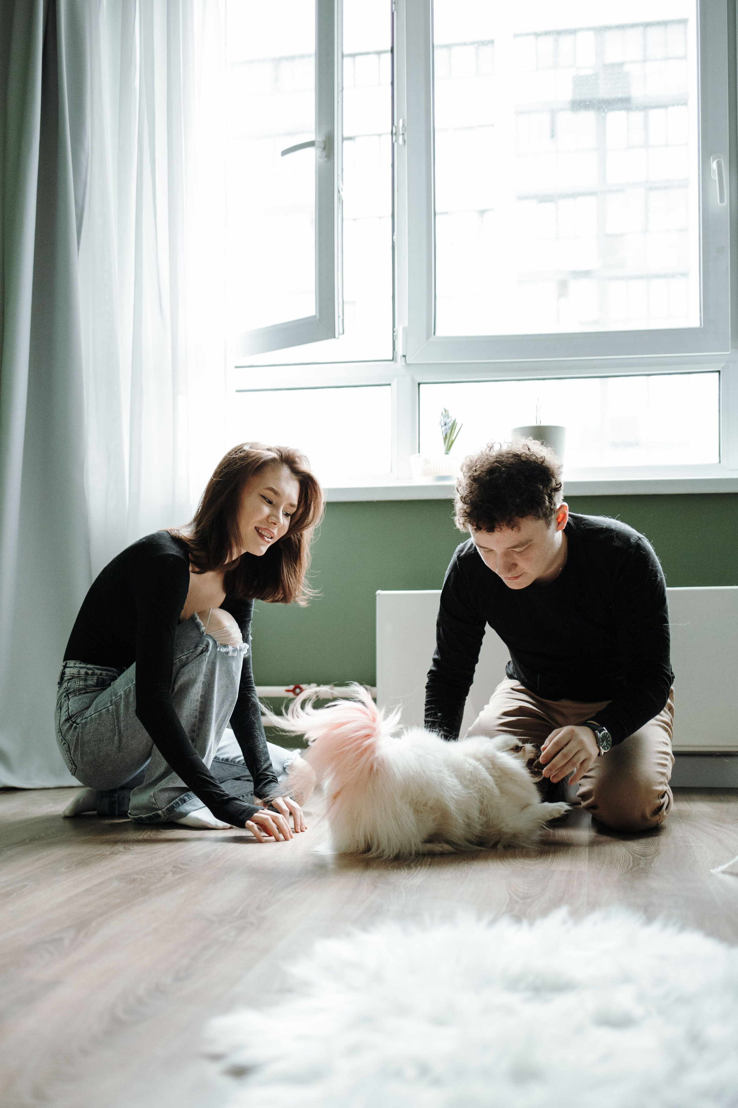 Шпиц Мася и ее семья