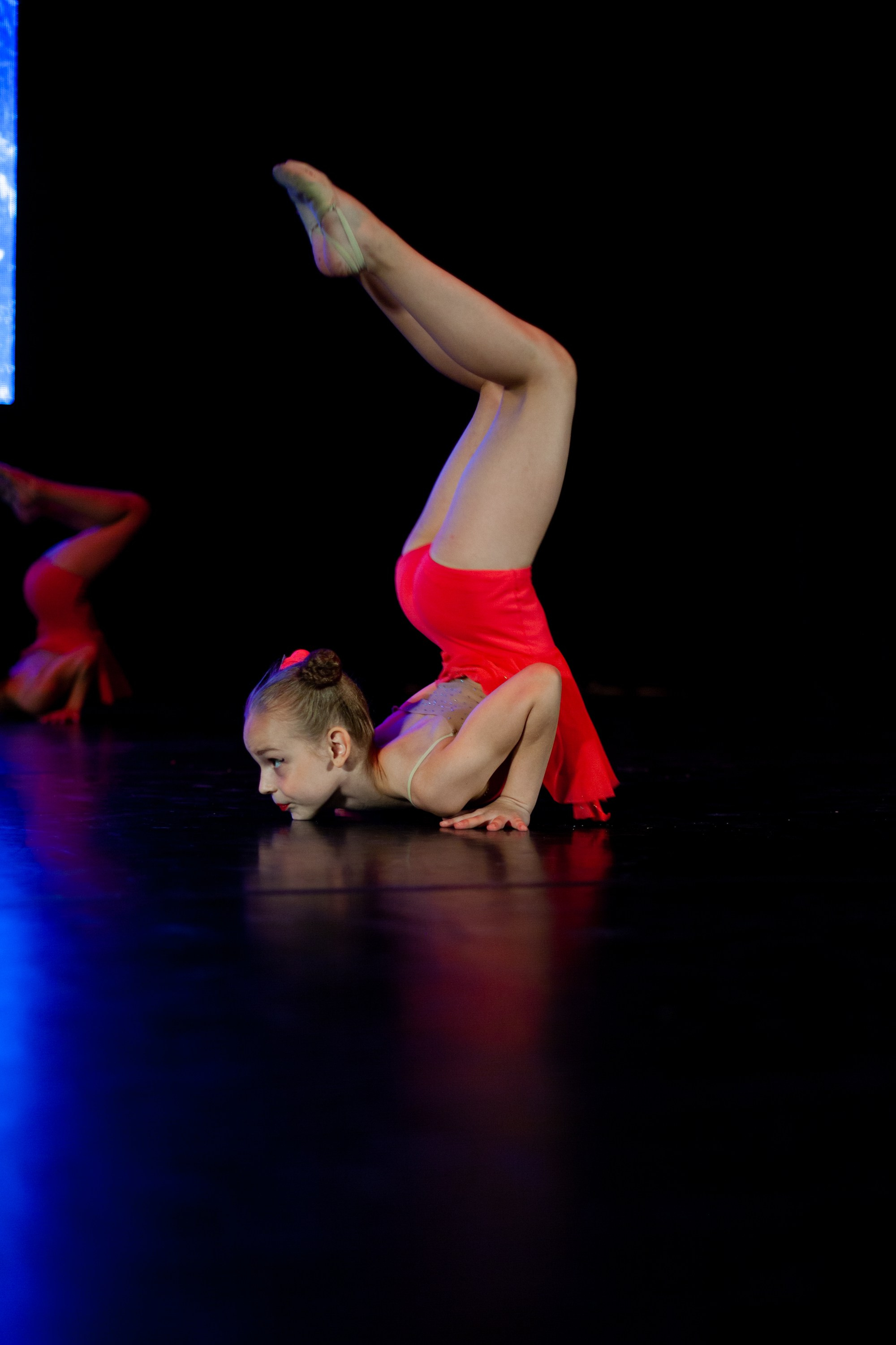 Концерты. Виолетта Скрипка