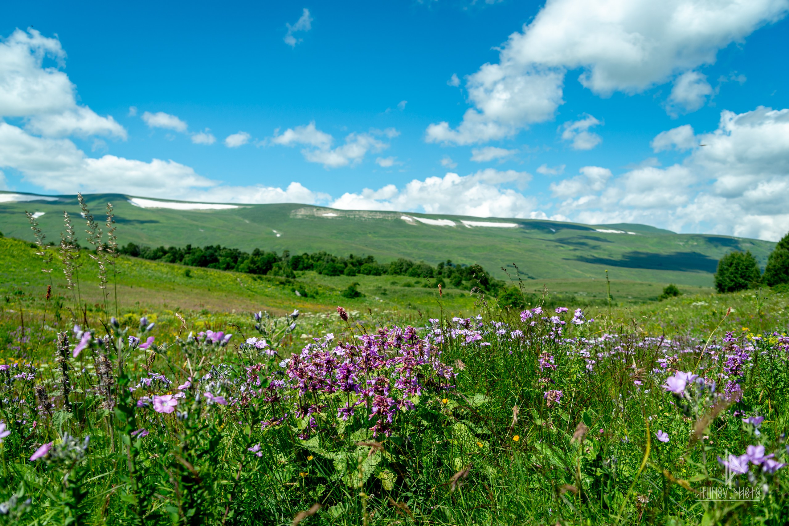 Адыгея. Спортивный и репортажный фотограф Дмитрий Литунов Москва