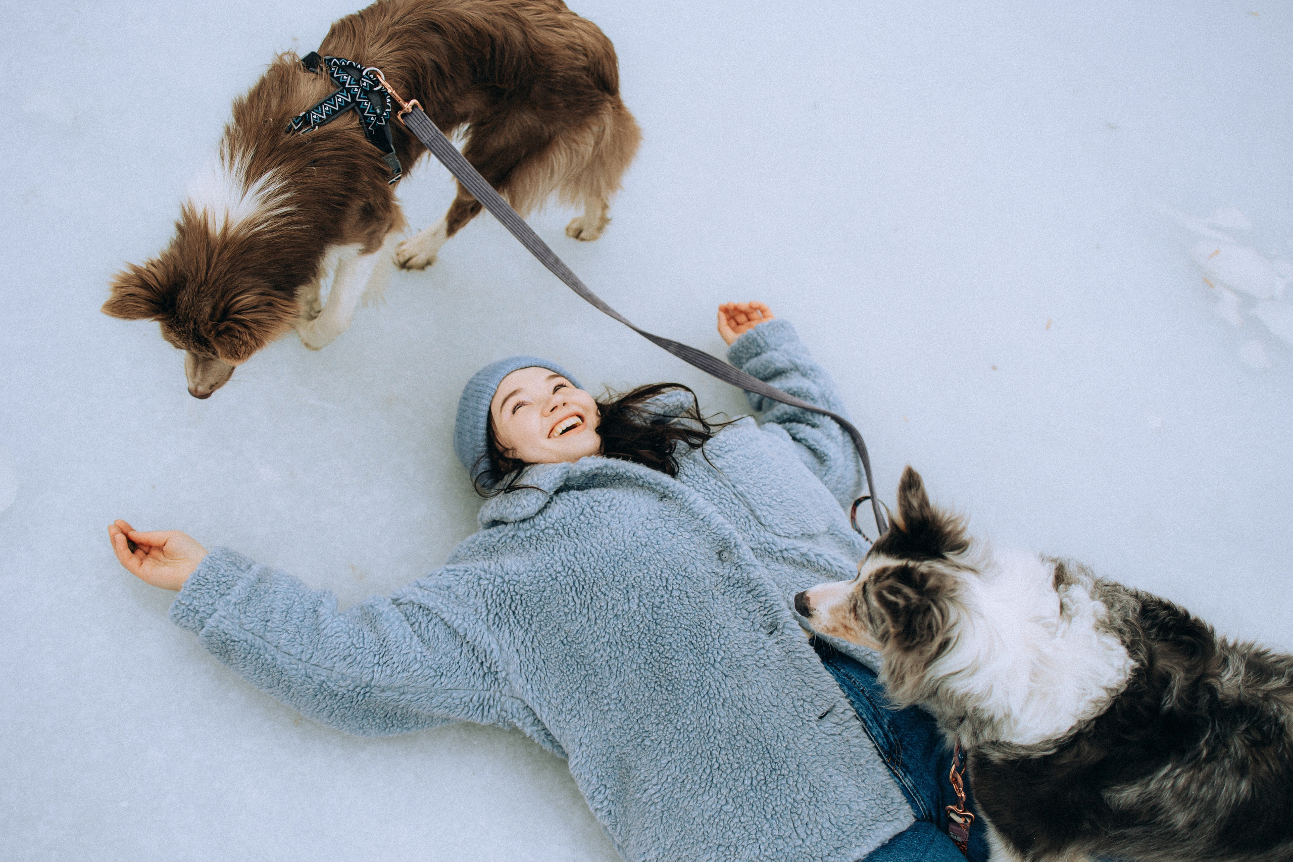 Полина, Милли и Паддингтон