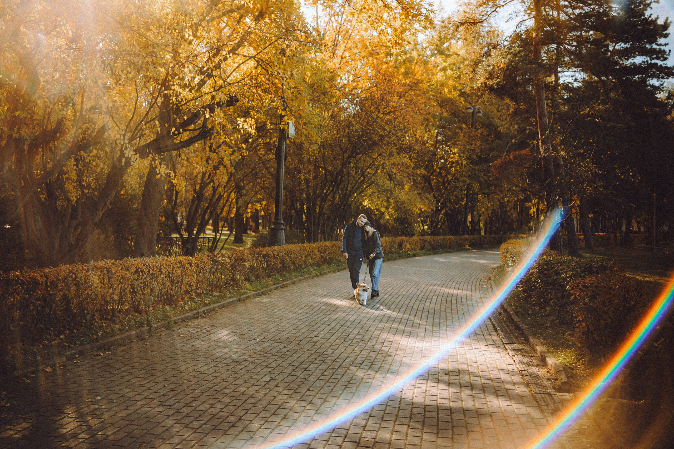 Карина, Даня и Аркаша