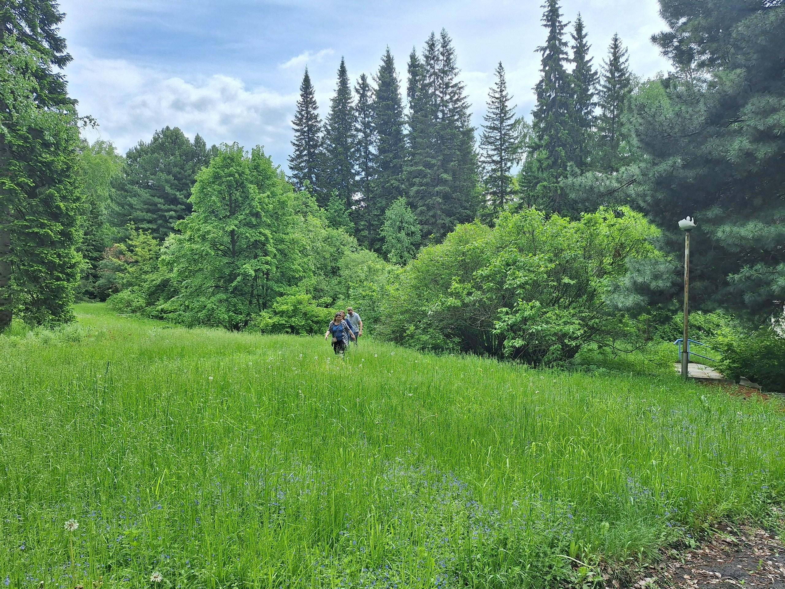 Новосибирск | 2024. Галерея Фантим