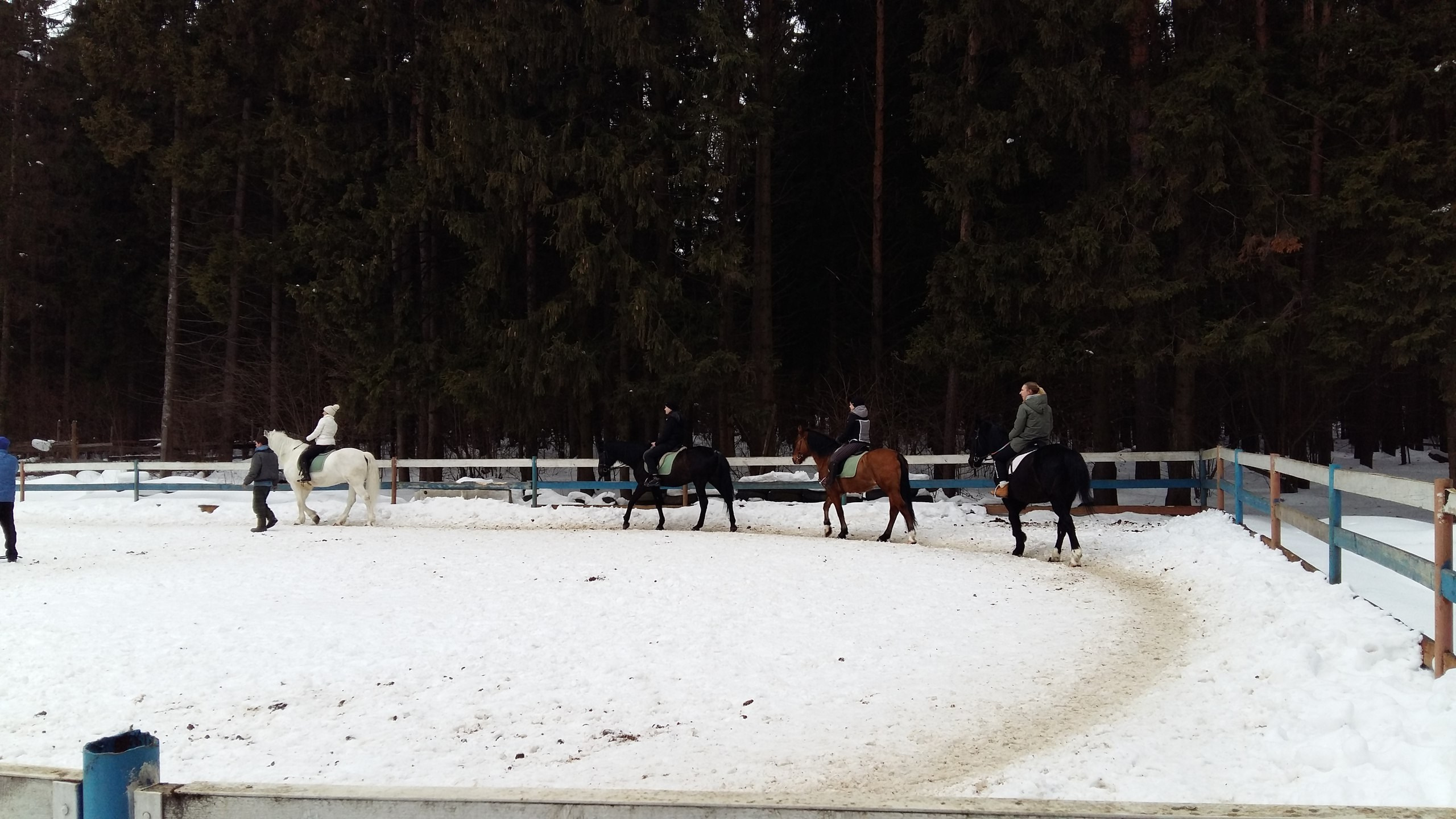 Активные выходные |18-19.02.2017. Галерея Фантим