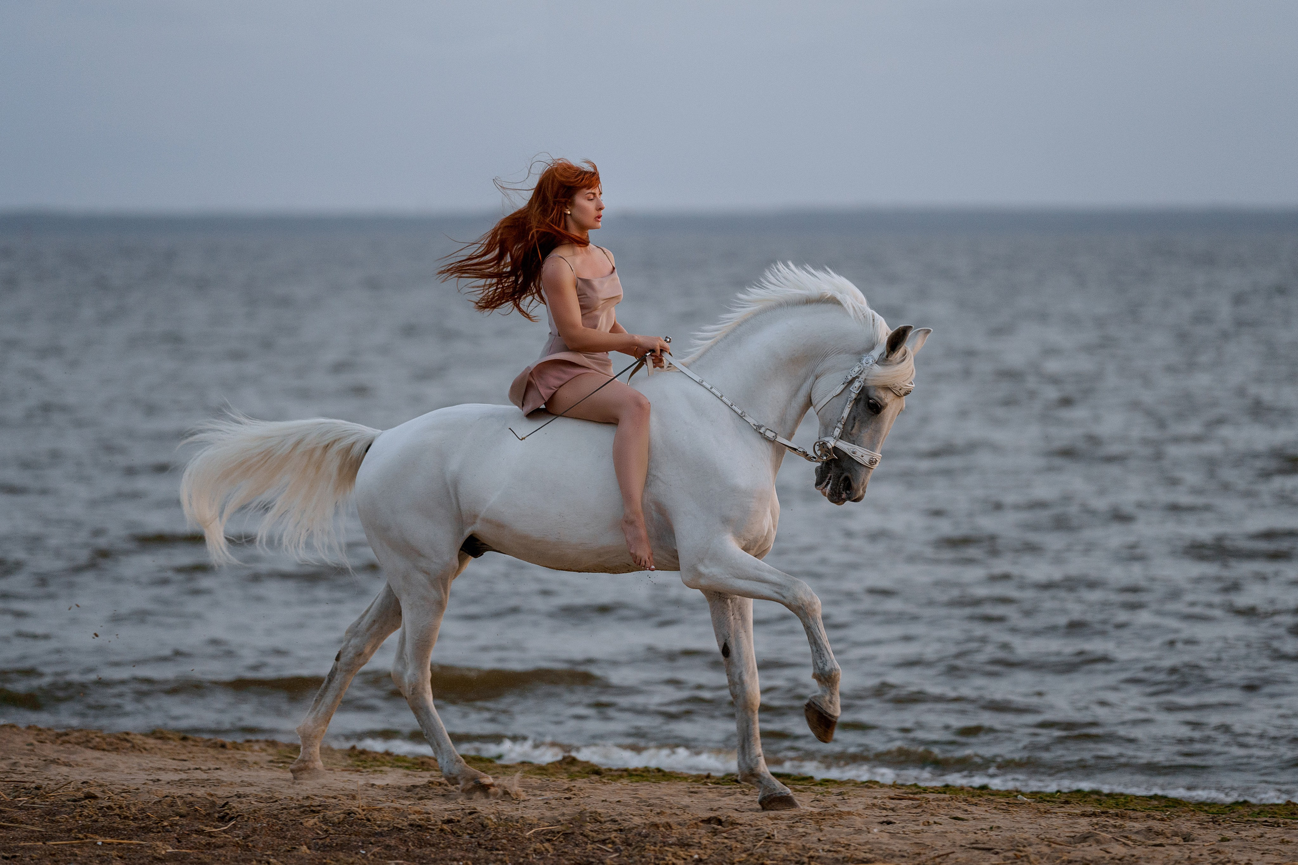 Фотосессии с лошадьми. Фотограф Артемьева Катерина|фотосессии с лошадьми