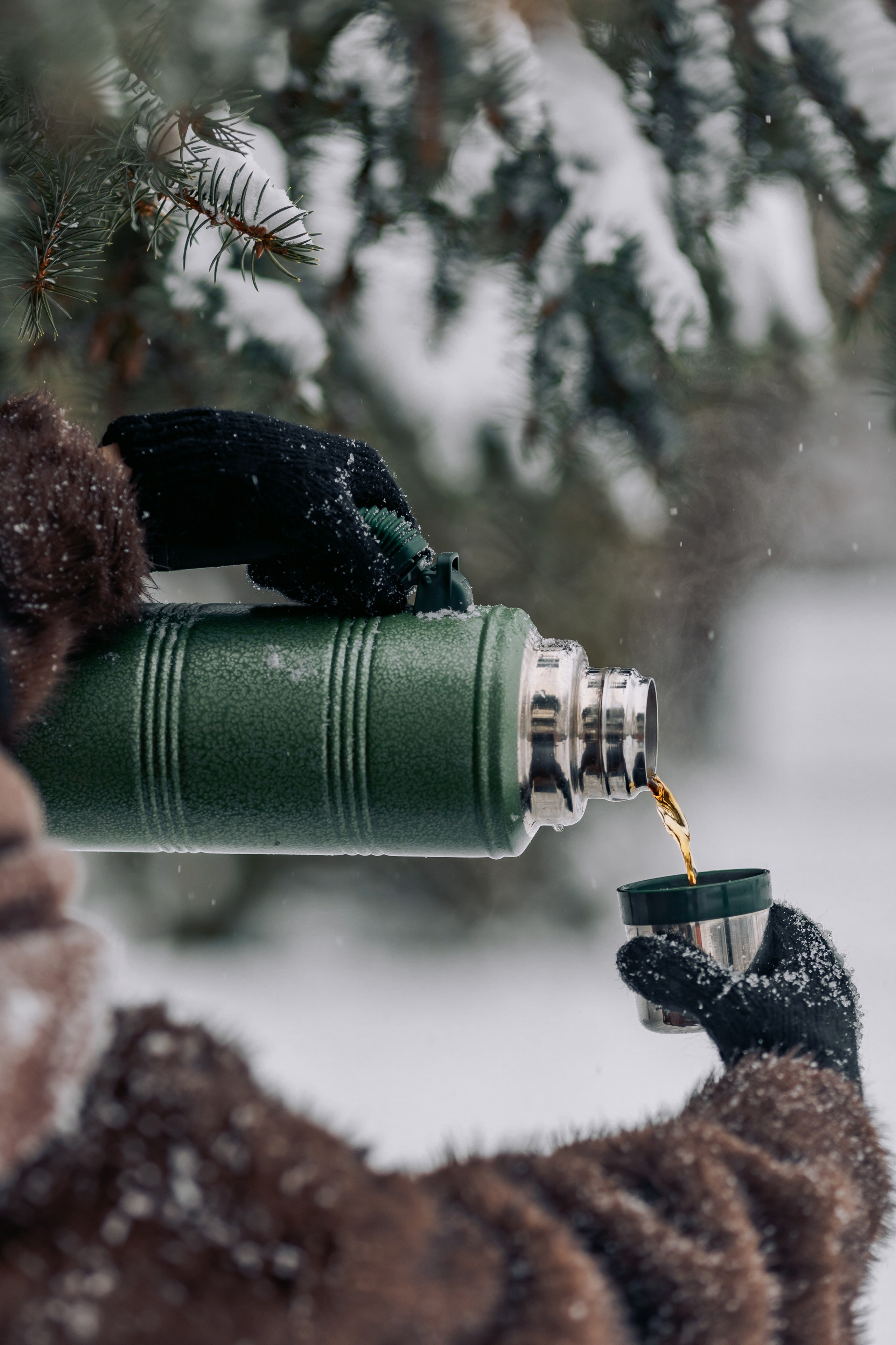 Зимушка. Семейный и детский фотограф |Брянск| Анастасия Перепелкина