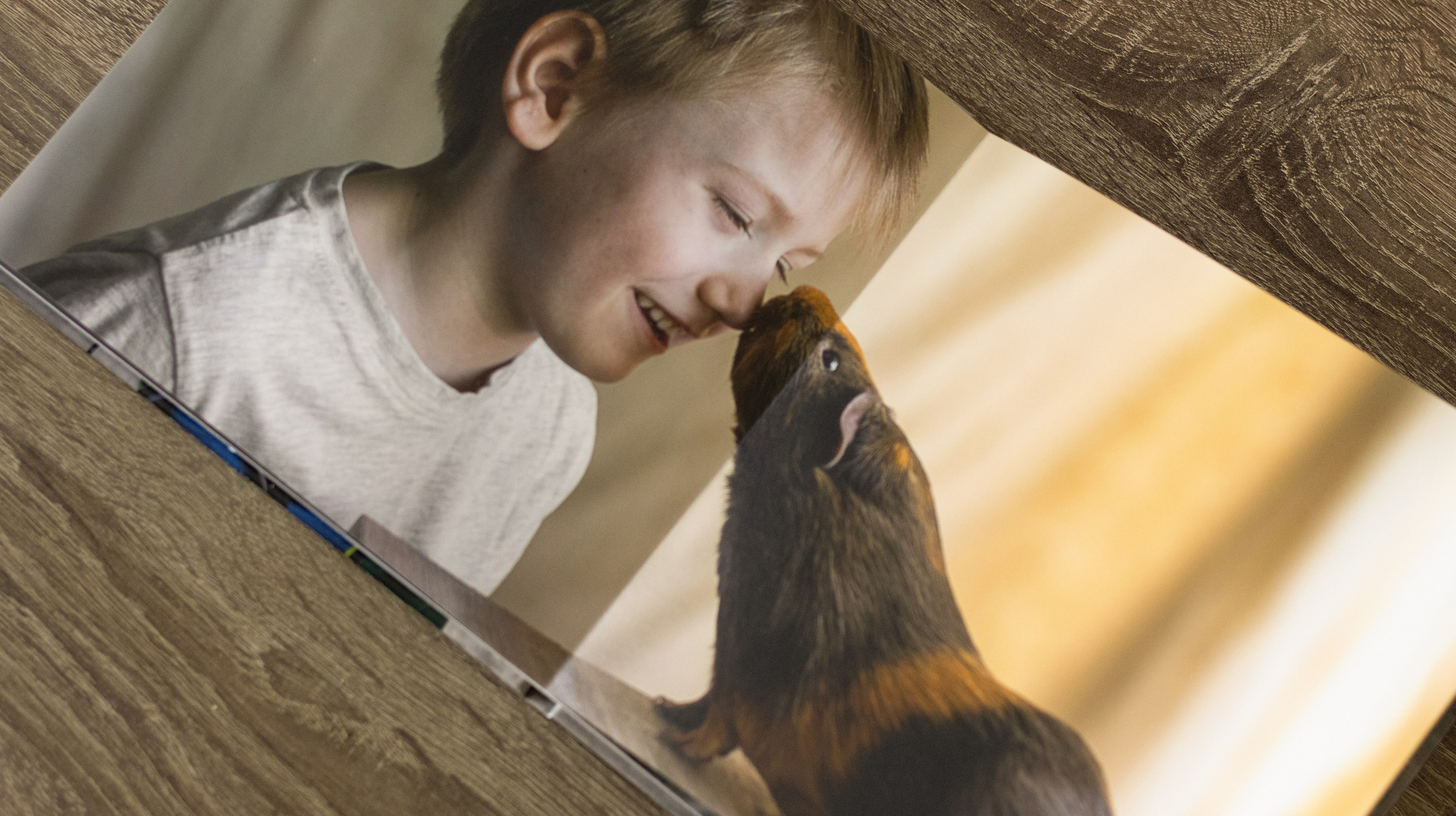 Портфолио. Семейная фотосессия в Новосибирске