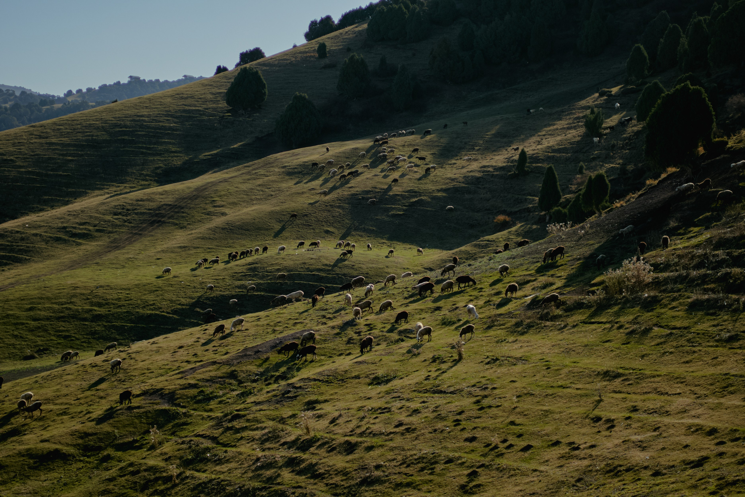 Кыргызтан. Профессиональный Фотограф во Владимире, в Москве и в Суздале — Полина Романычева