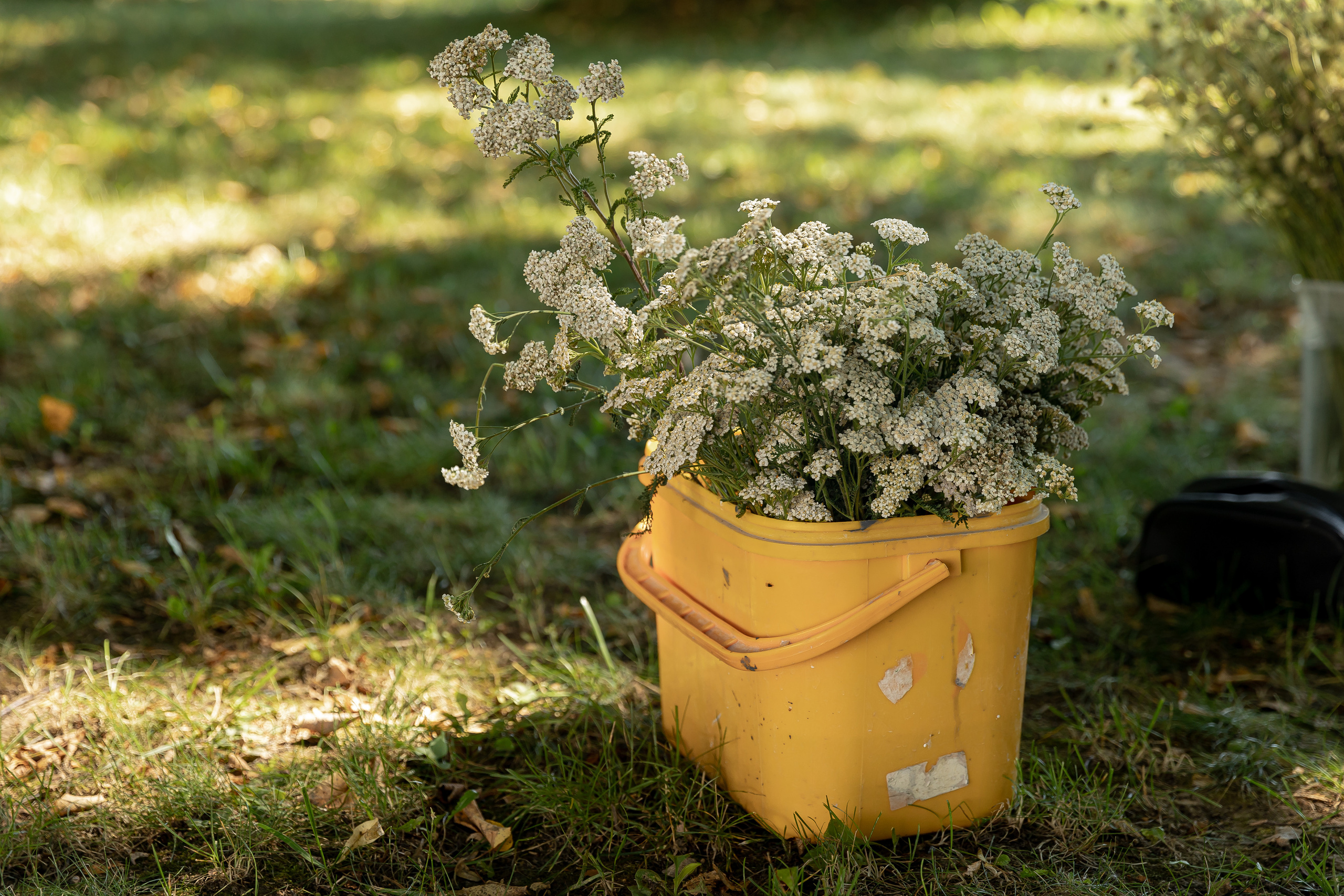 «Ты мой Кофеин» Wedding day Андрей и Юля. Свадебный фотограф Колесников Антон