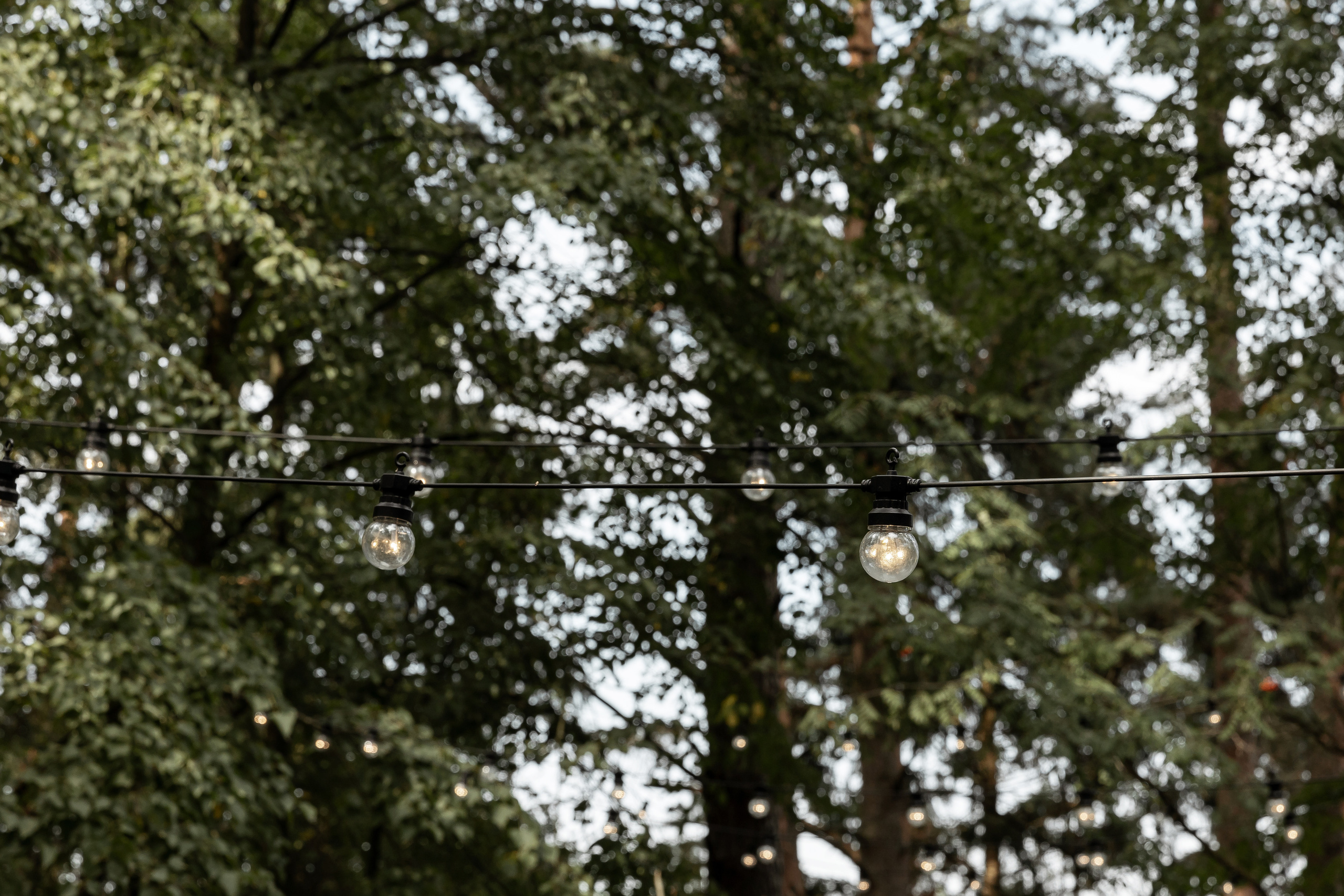 Wedding day Кирилл и Сусанна. Свадебный фотограф Колесников Антон