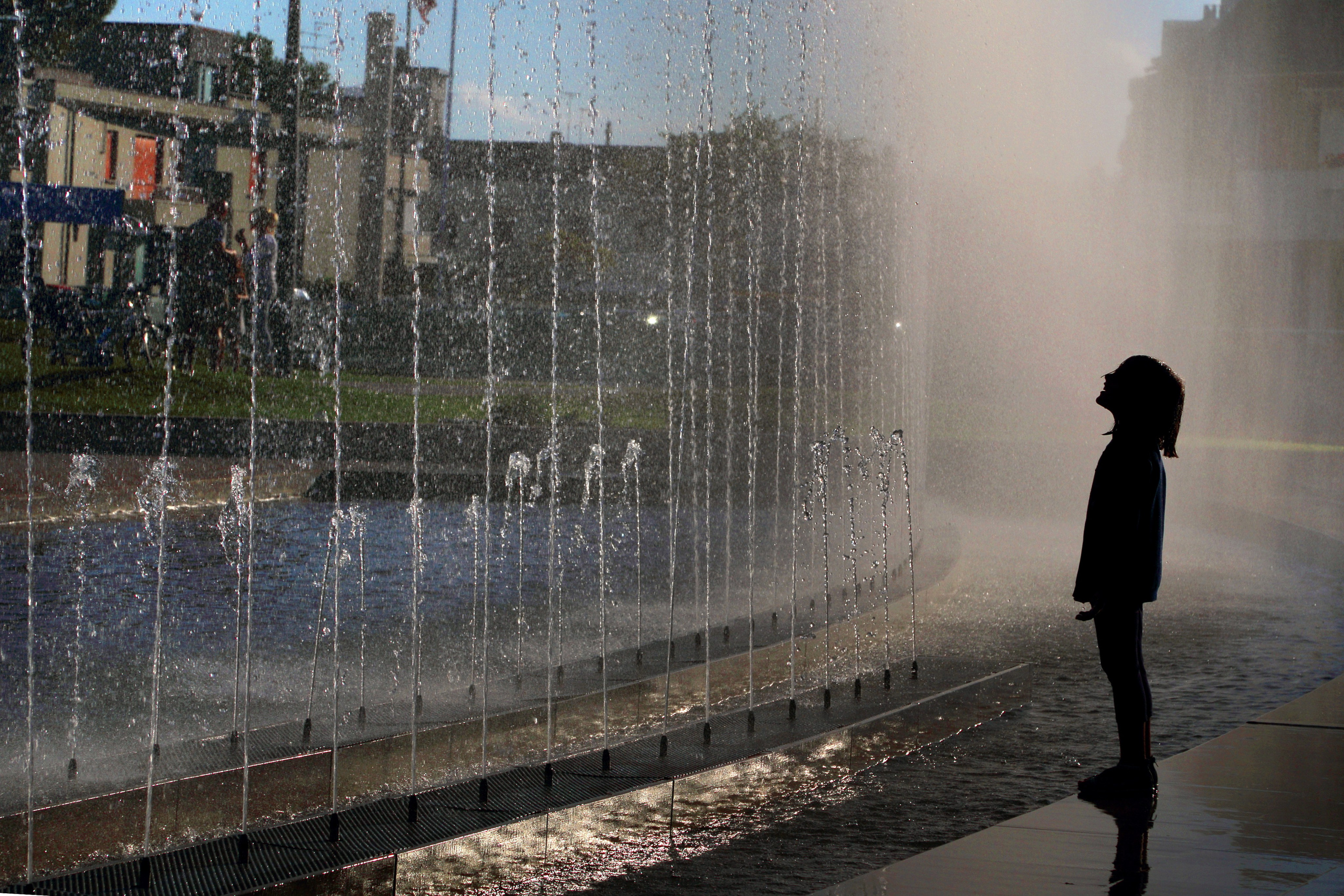 Жанр. Фотограф Лагутин Анатолий