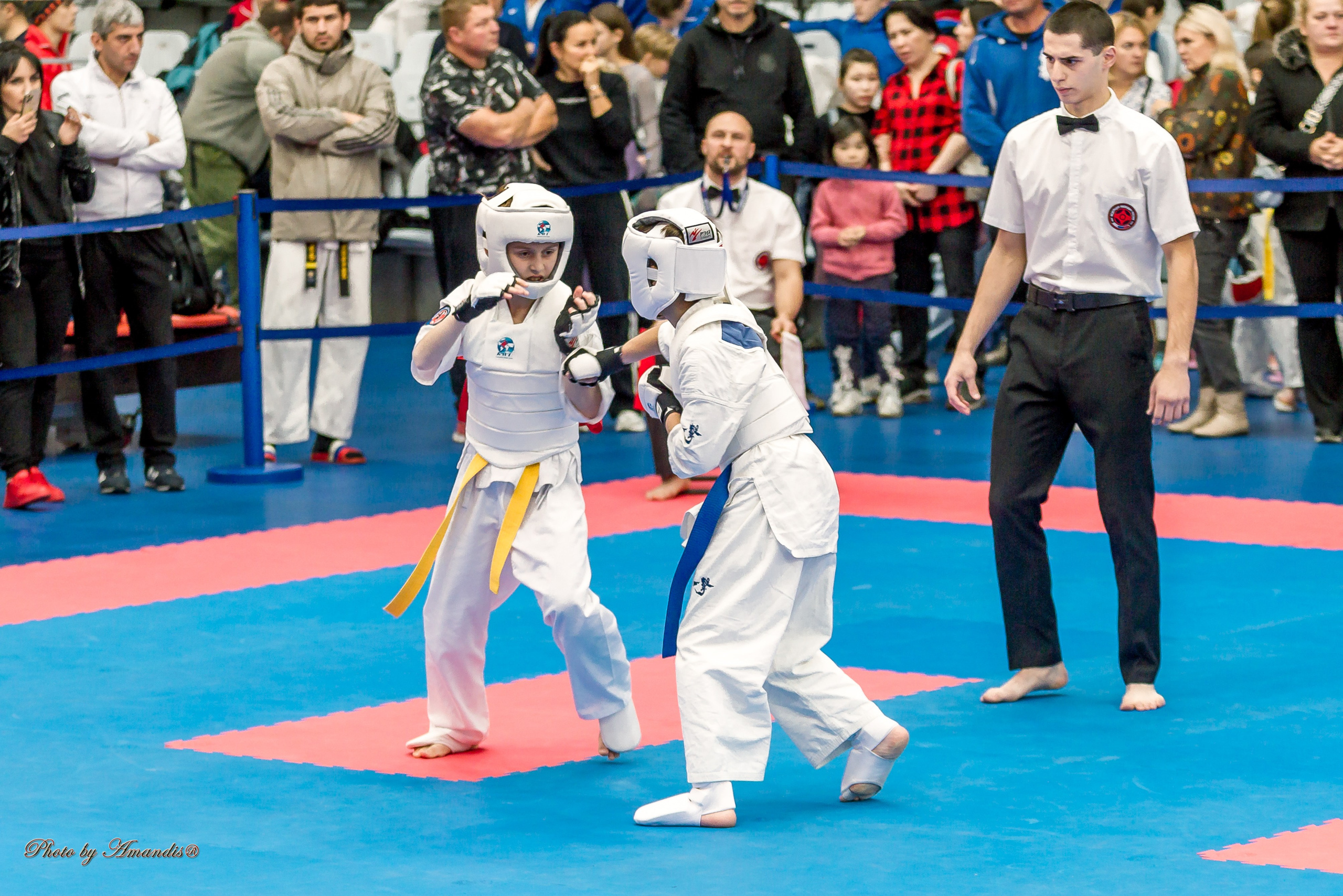 Чемпионат по Киокушинкай Центрального Федерального округа. Репортажная съемка в Москве и области. Анималистика