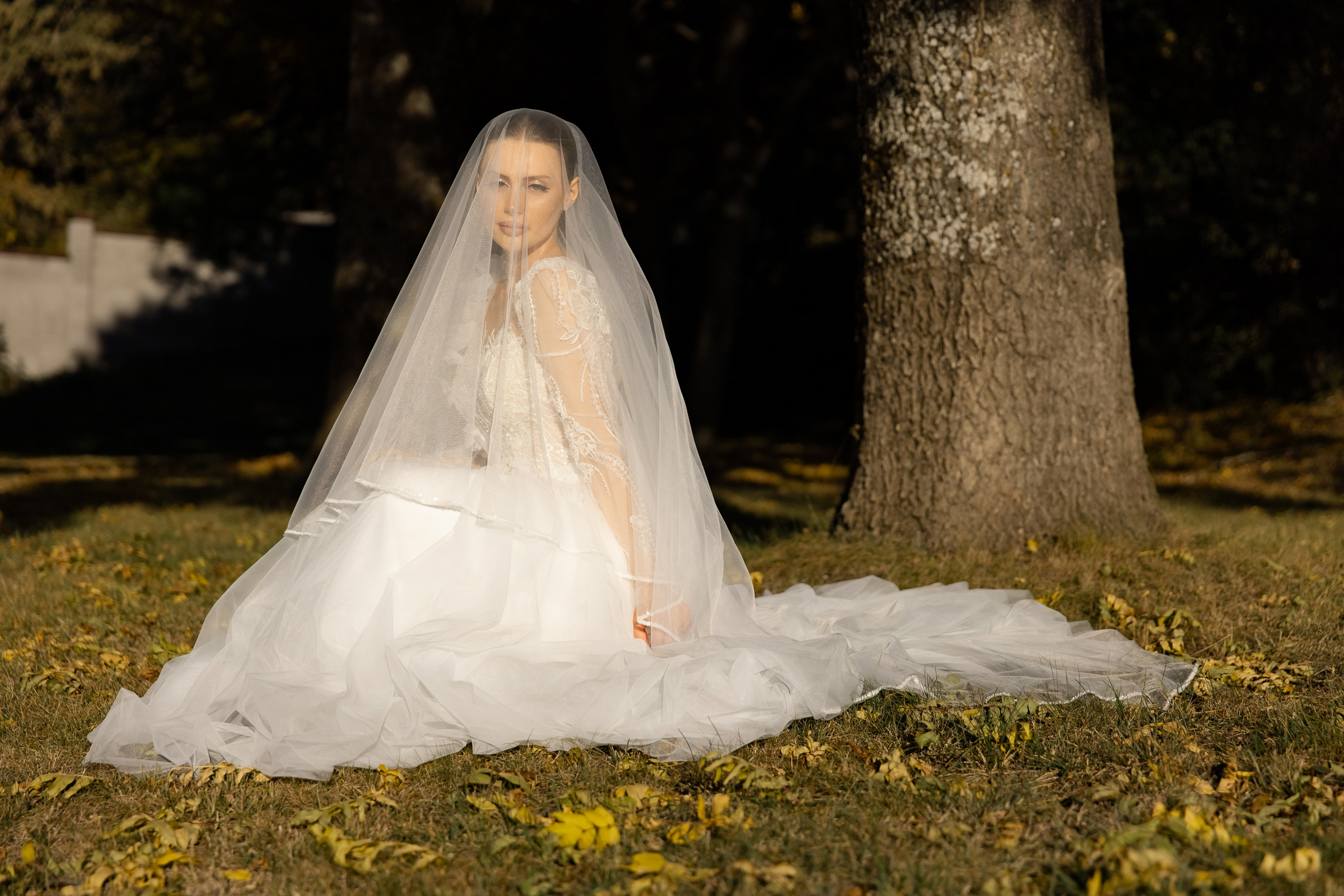 Р&Г. Свадебный фотограф