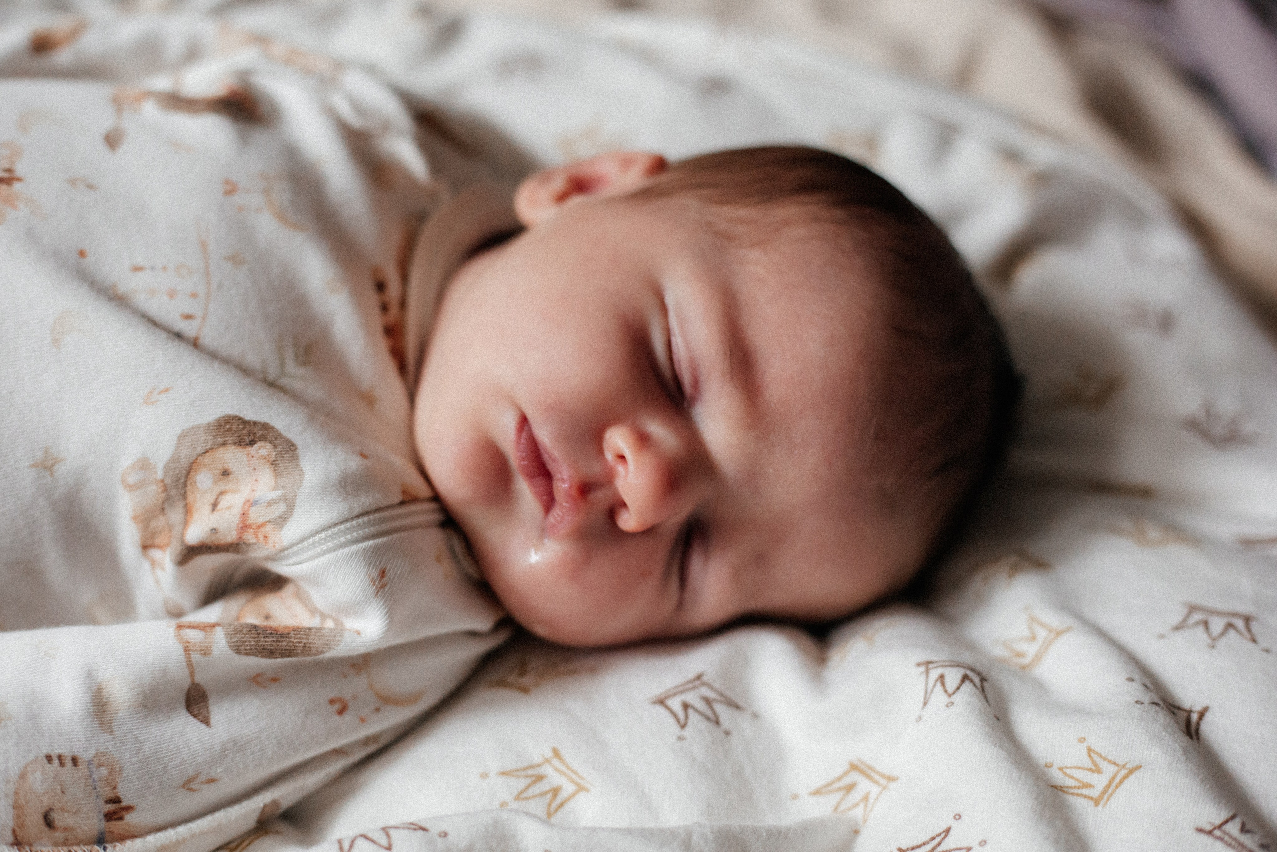 Ева. Семейный фотограф Виктория Потехина Москва