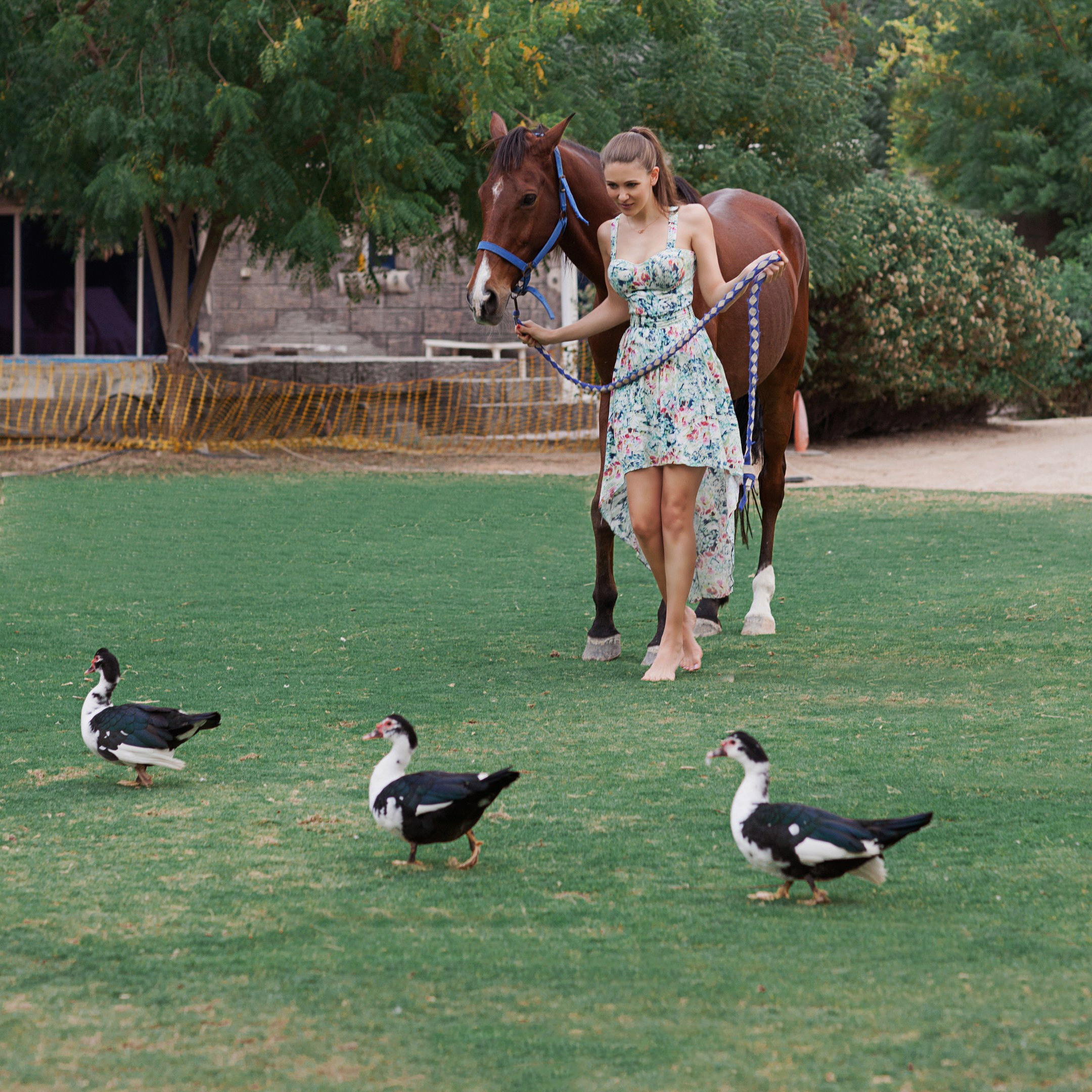 Женский портрет в Дубае. Фотограф-портретист Евгения Синкевич в Риге и Европе