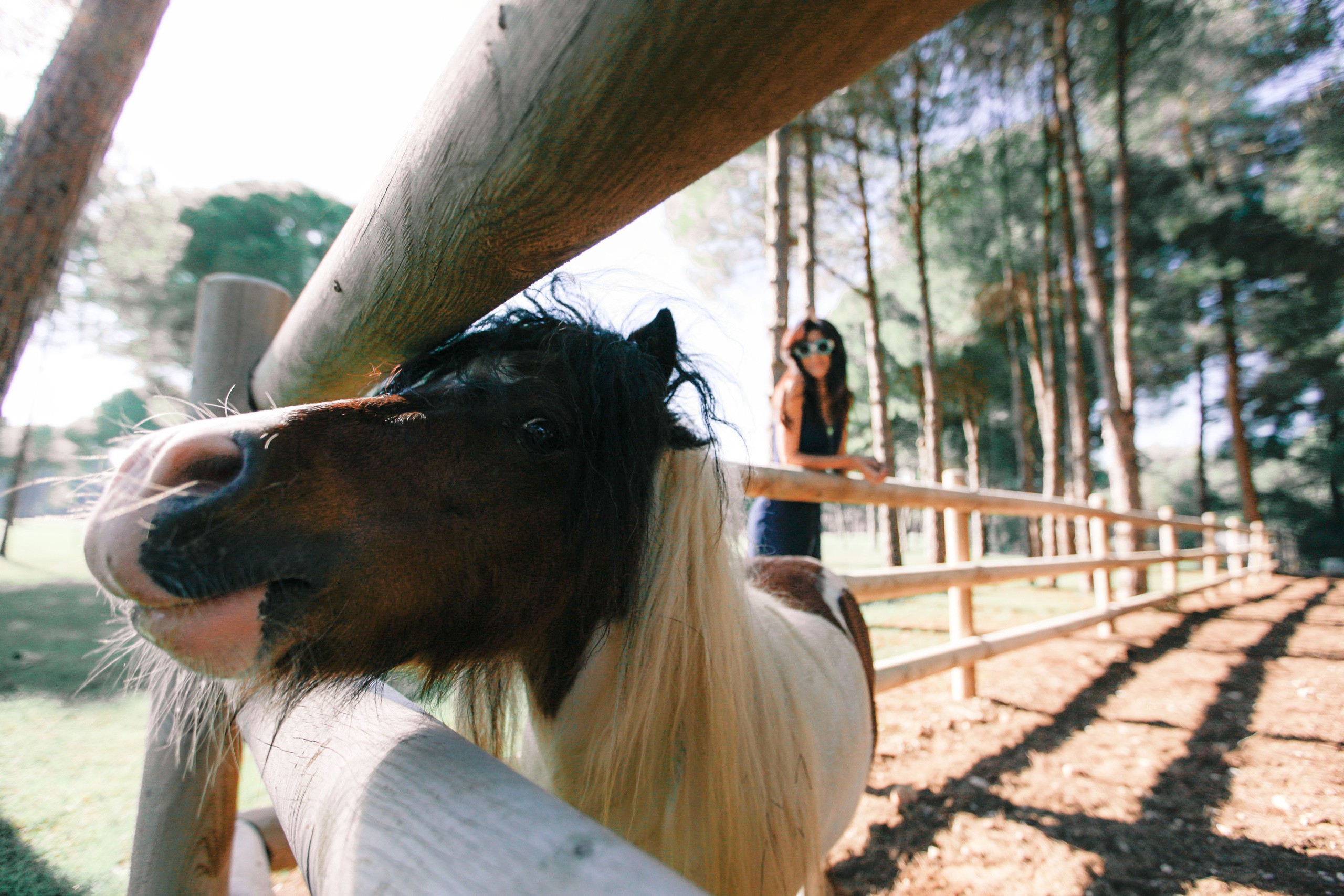 Равшана Куркова. Фотограф-портретист Евгения Синкевич в Риге и Европе