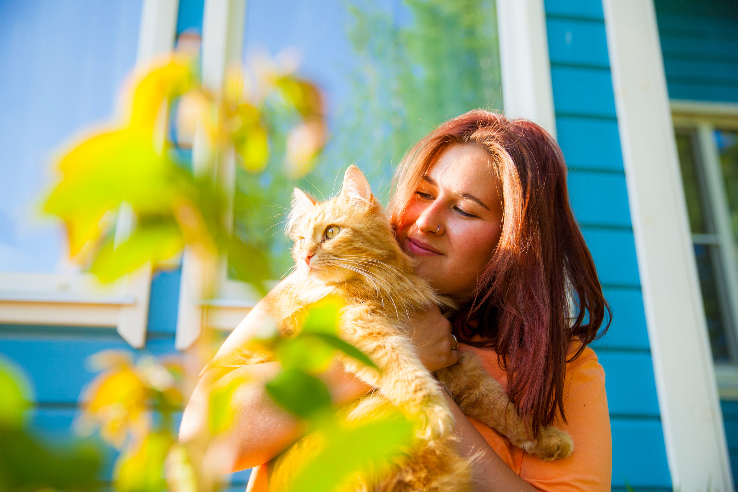 Кокосы. Фотограф Александра Степанова