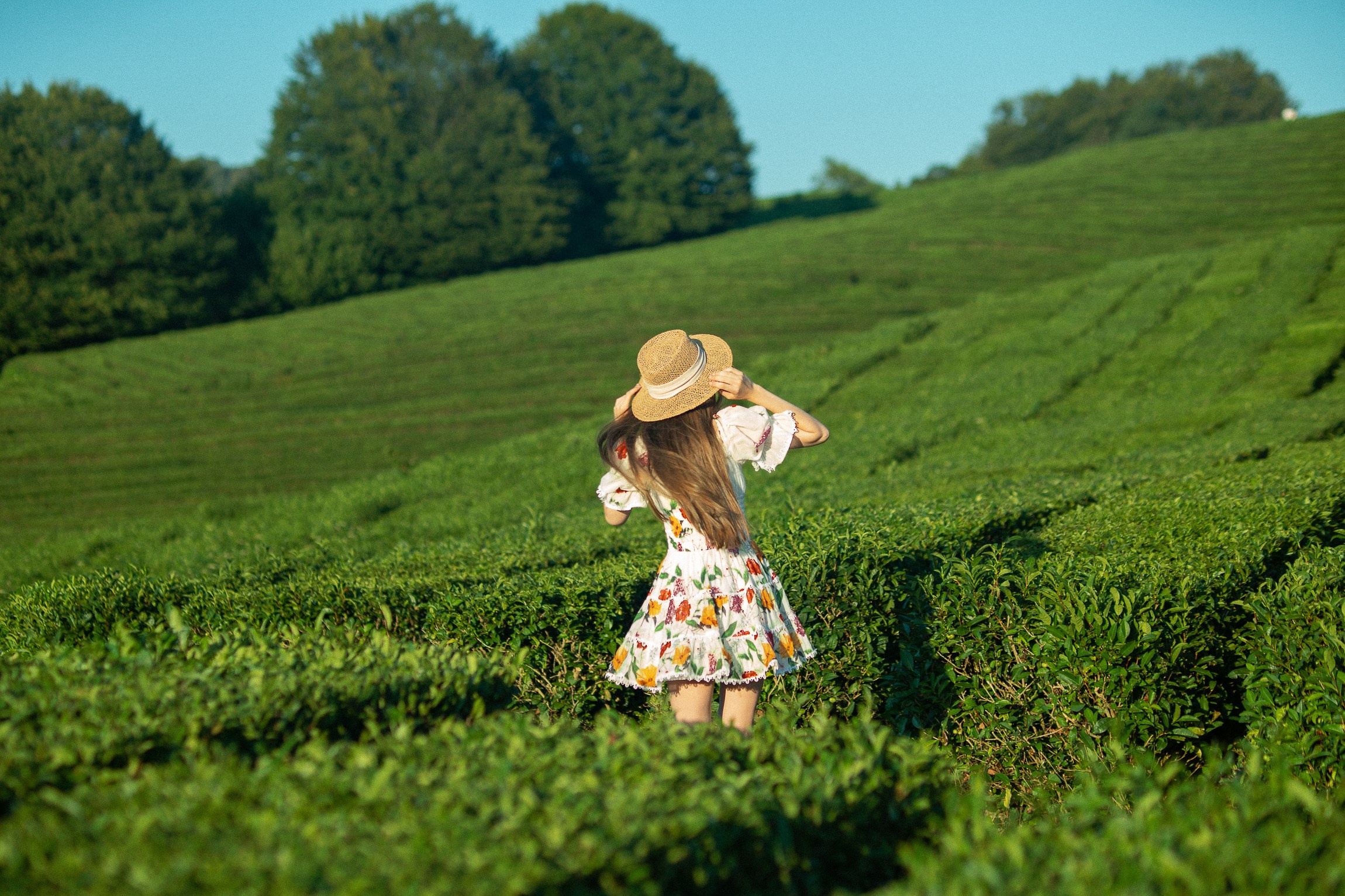 Фотограф в Сочи Елена Лисотина. Фототуры в Сочи
