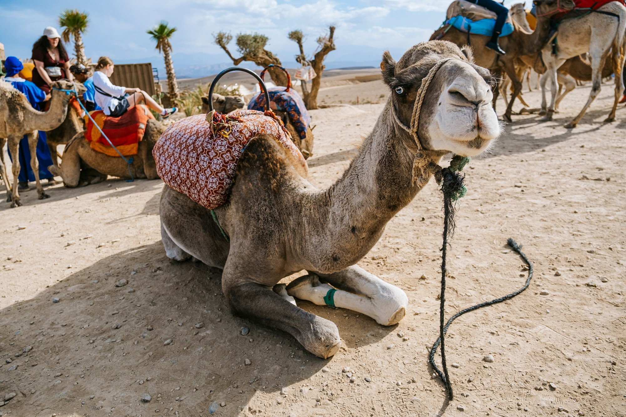 Марокко | Пустыня. #фотокаквкино | Фотографирую людей