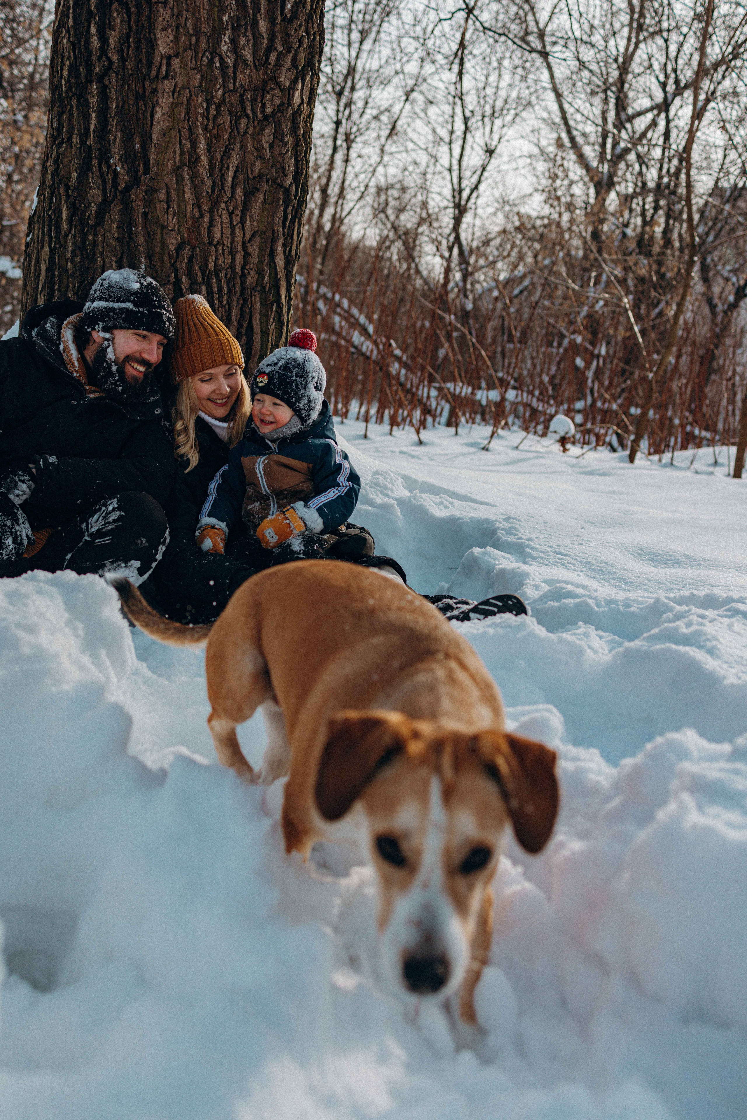 Свобода и ее семья. Фотограф-анималист в Москве Лера Черноног