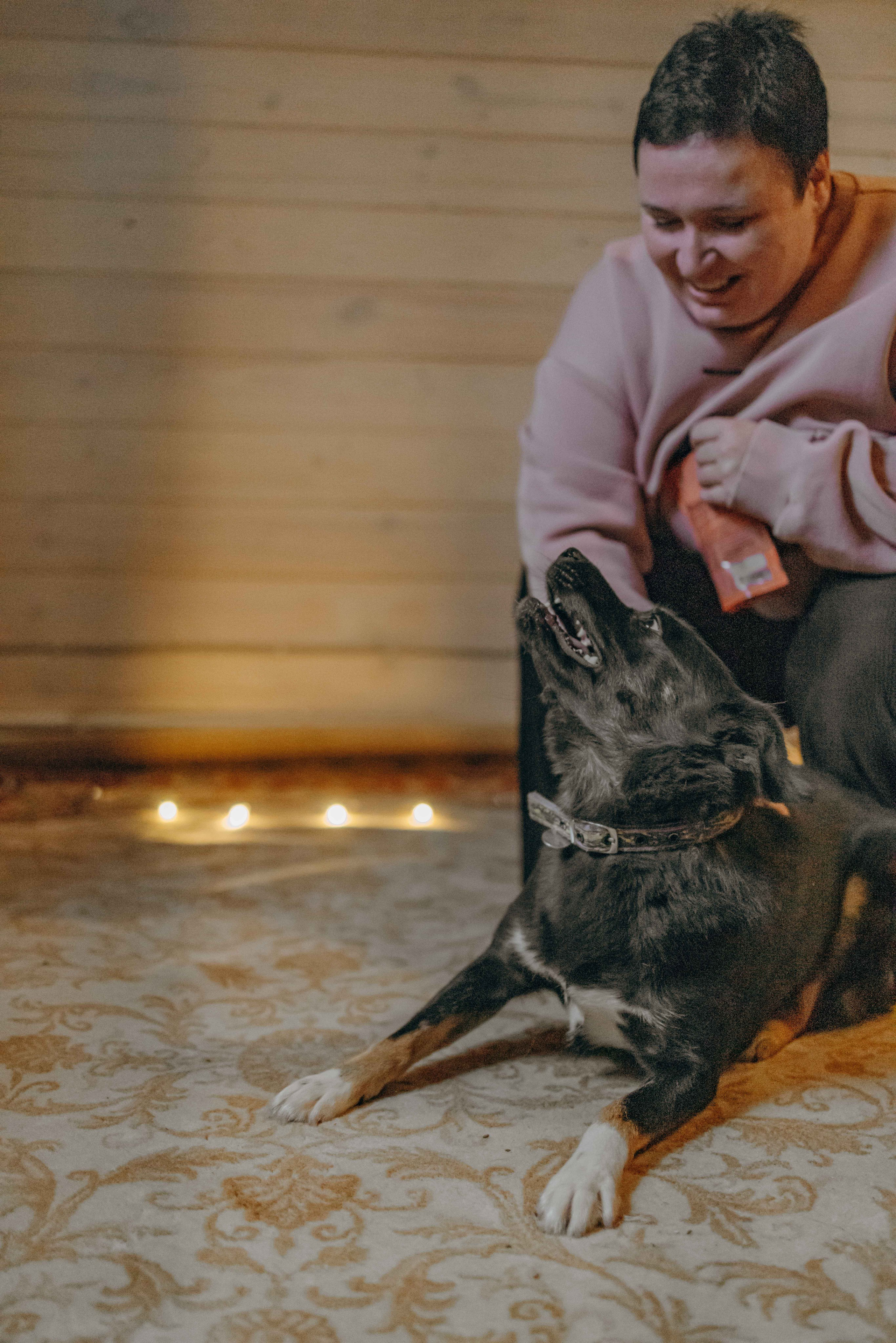 Передержка. Фотограф-анималист в Москве Лера Черноног