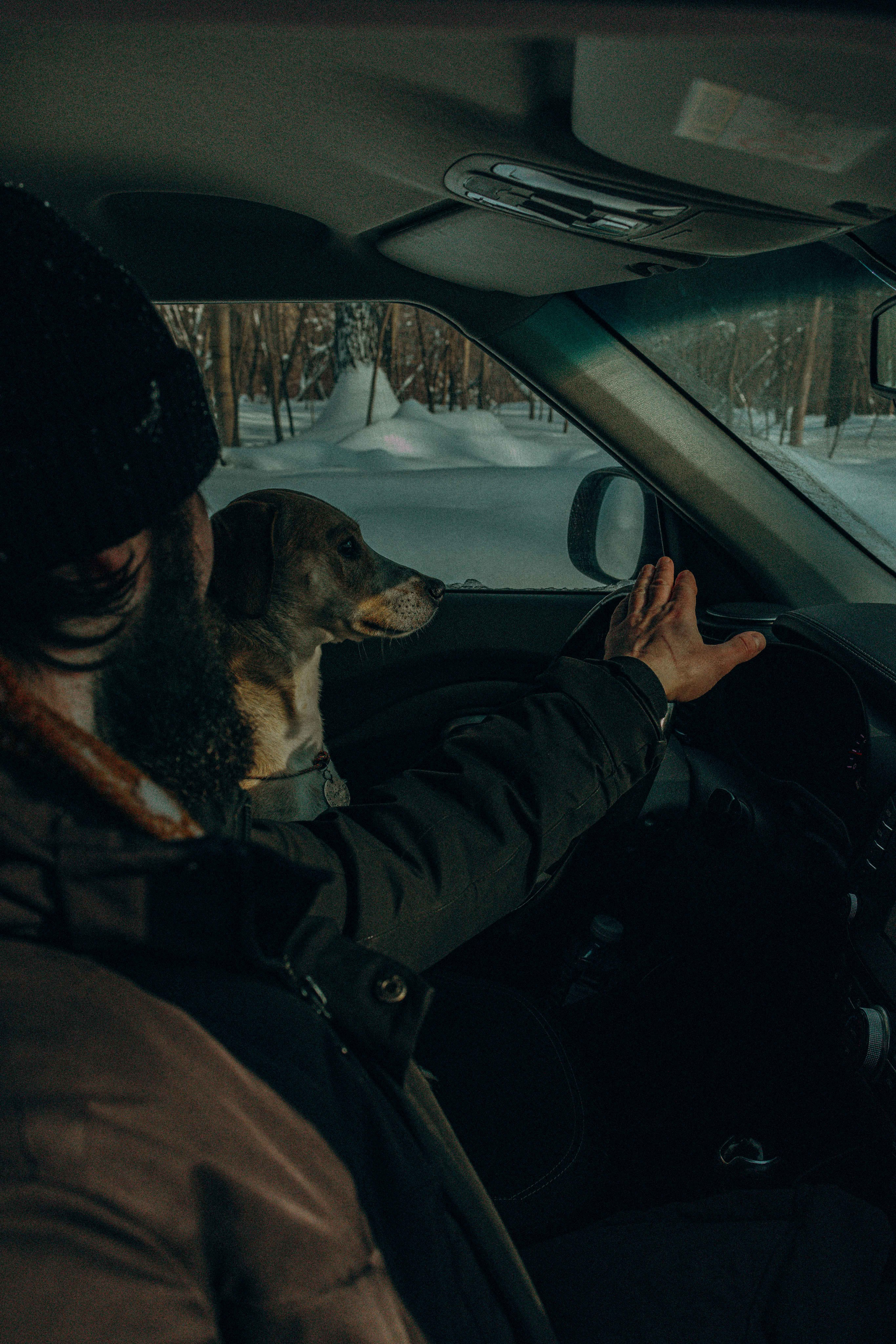 Свобода и ее семья. Фотограф-анималист в Москве Лера Черноног