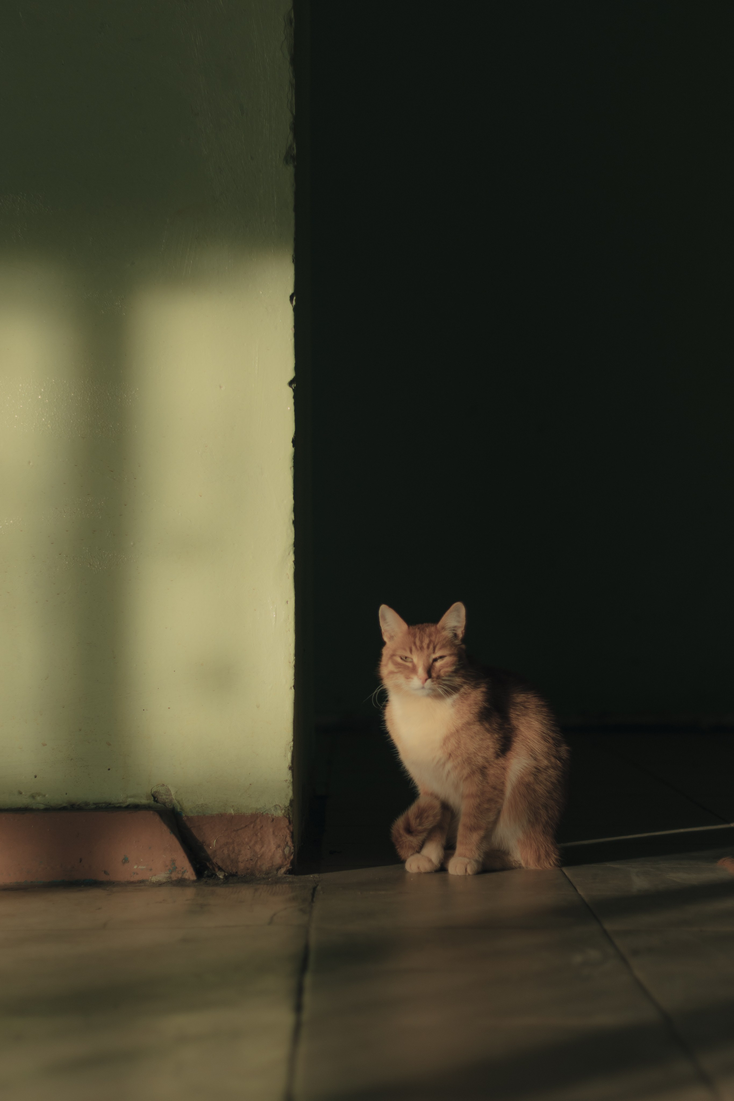 Эдик. Фотограф Набережные Челны Лысенков Олег