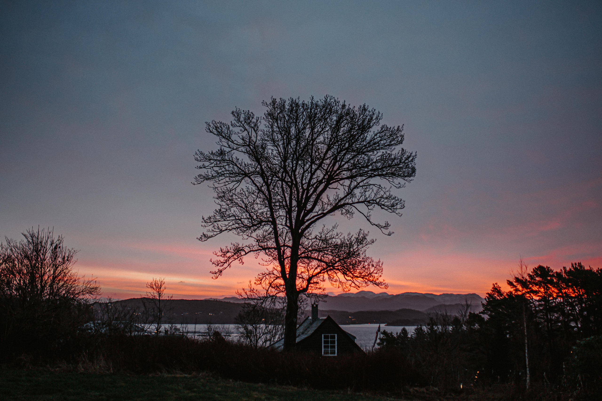 Winter wedding in rainy Stavanger. Свадебный фотограф Гродно Минск Destination wedding photographer