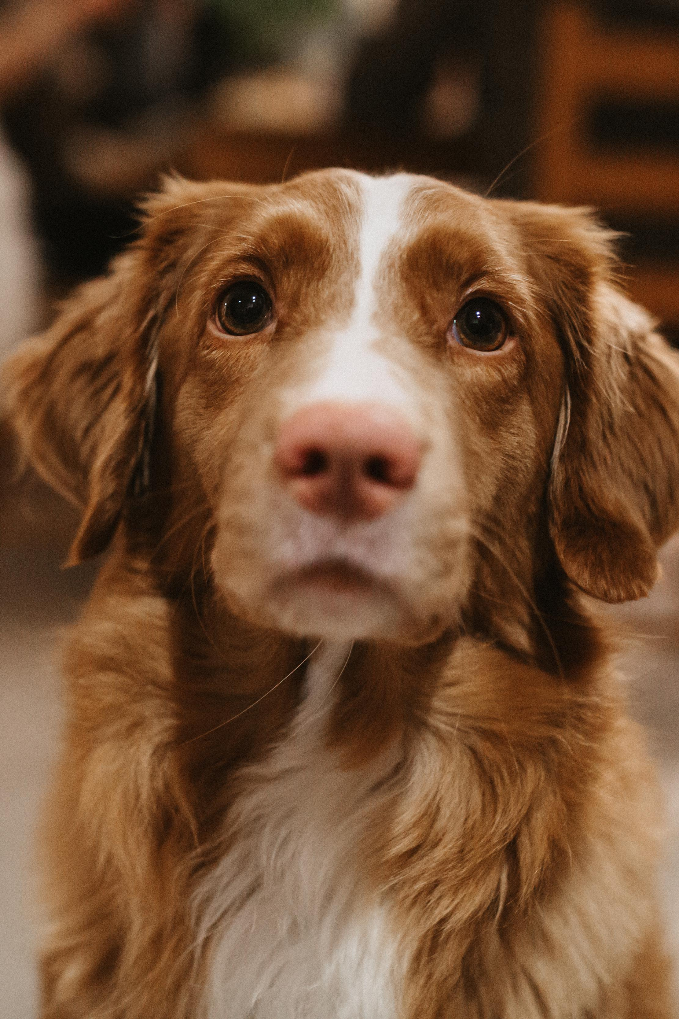 Winter wedding in rainy Stavanger. Свадебный фотограф Гродно Минск Destination wedding photographer
