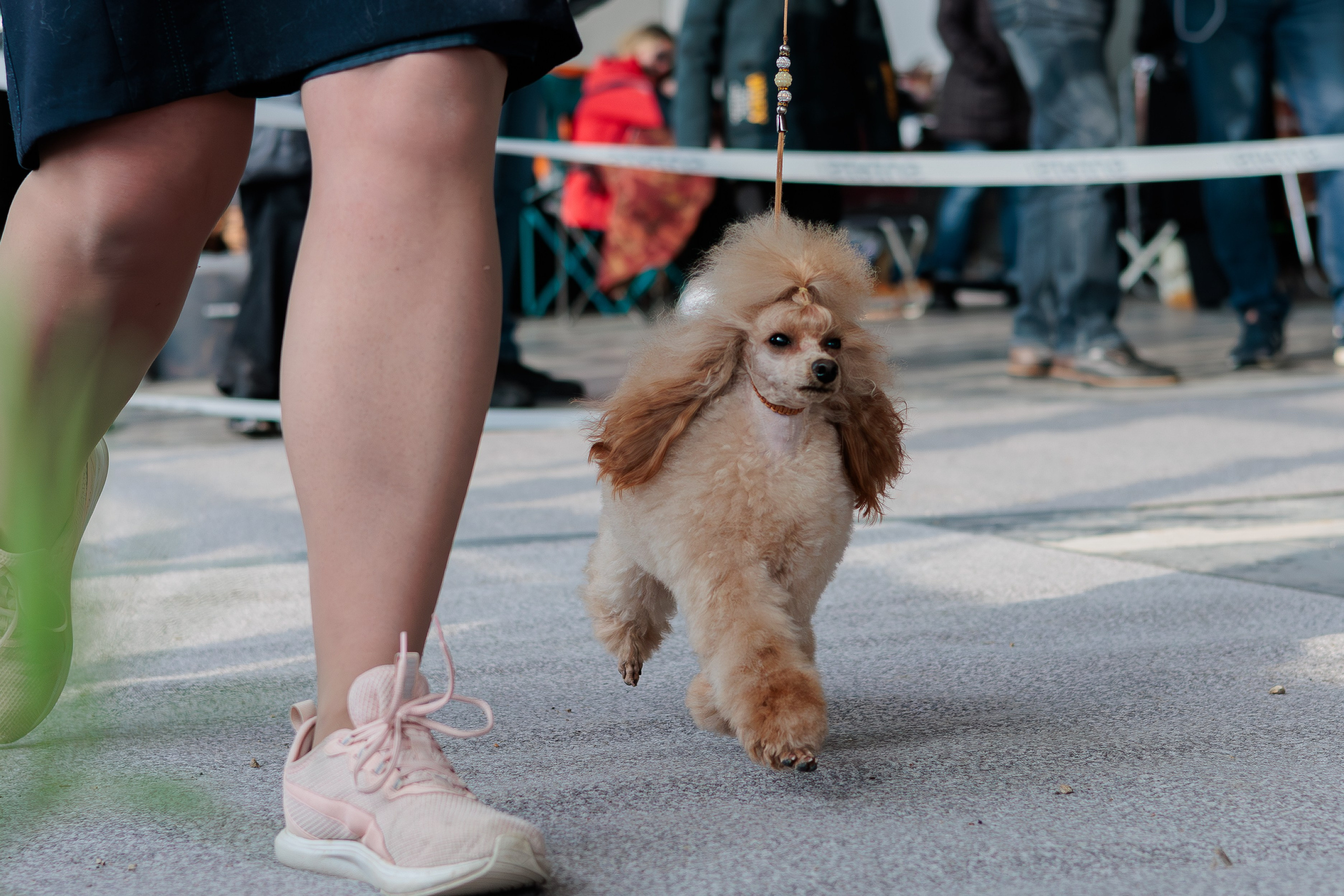 Выставки. Фотограф Марк Файзулин
