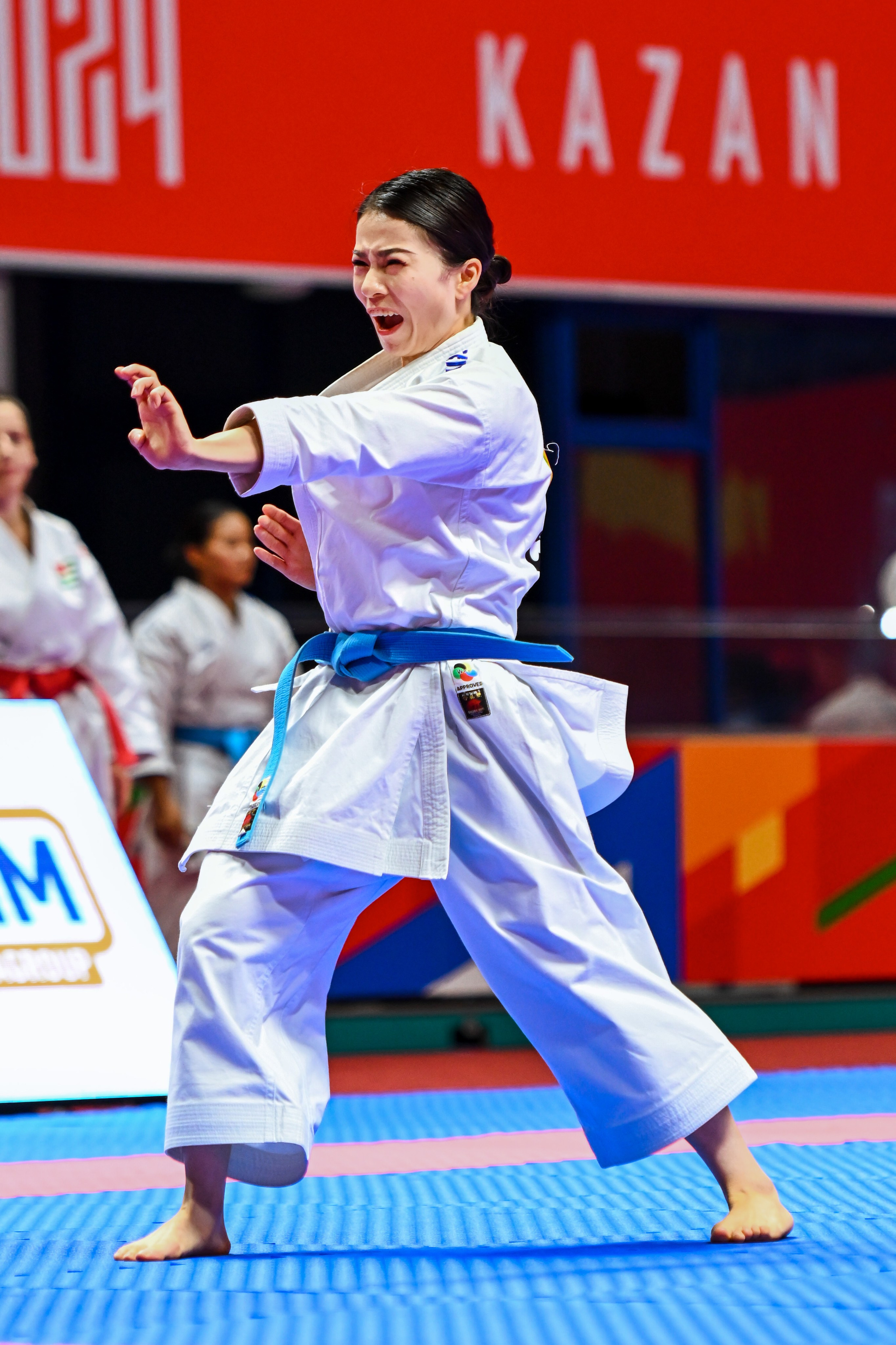 Каратэ «Спортивные игры стран БРИКС». Спортивный и репортажный фотограф в Казани Вячеслав Сатонин