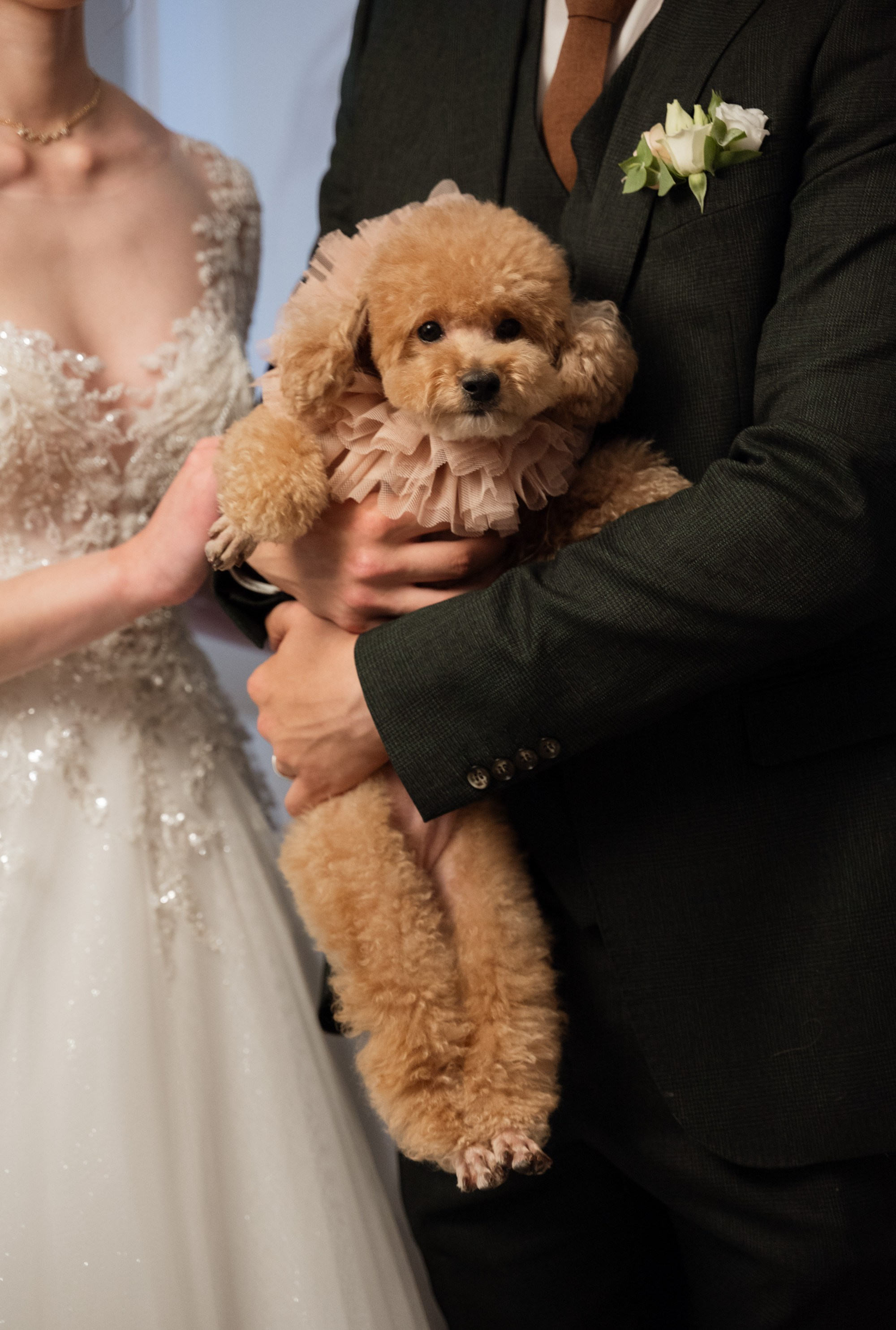 Андрей и Дарина | 10.08.24. Свадебный фотограф в Санкт-Петербурге Владислава Тюльпина