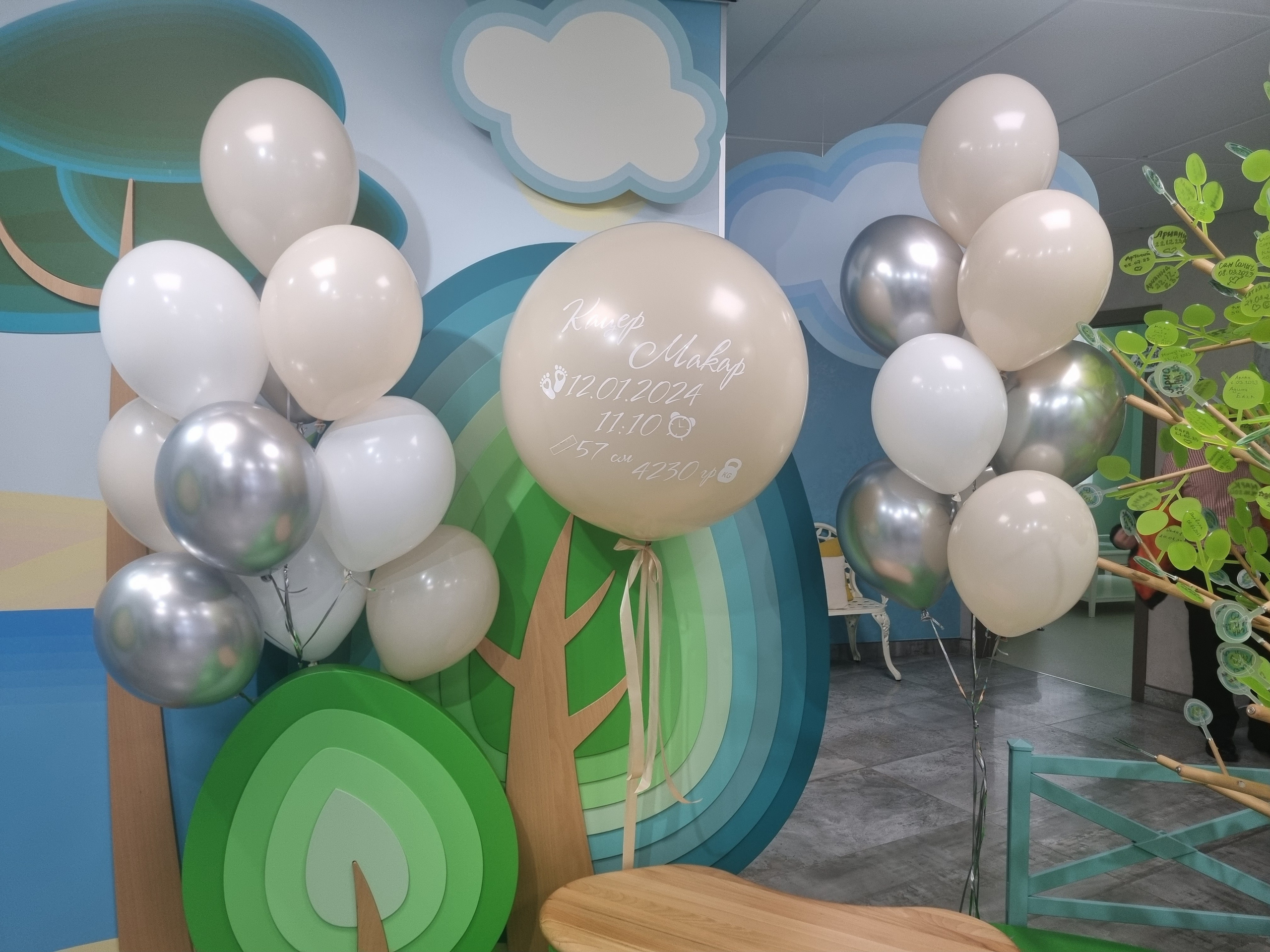 Фотограф в роддоме Сестрорецком г. Санкт-Петербург Банасиковская Ксения