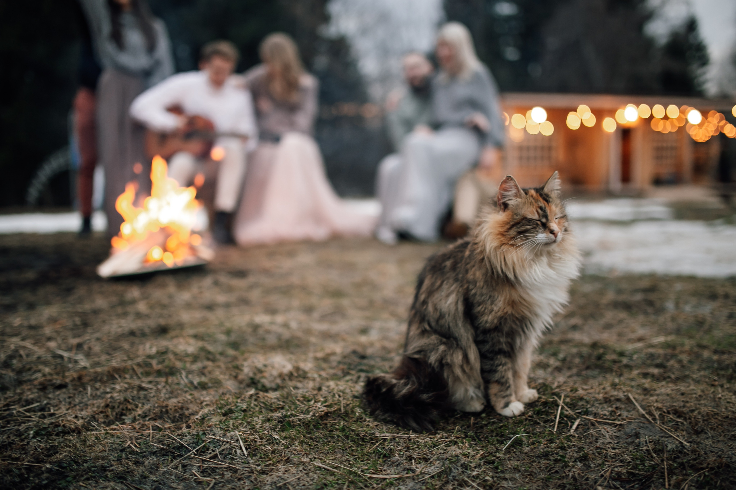 ANNA&MARK. Anastasiia Vainer – Hochzeits- und Porträtfotografin in Deutschland und ganz Europa