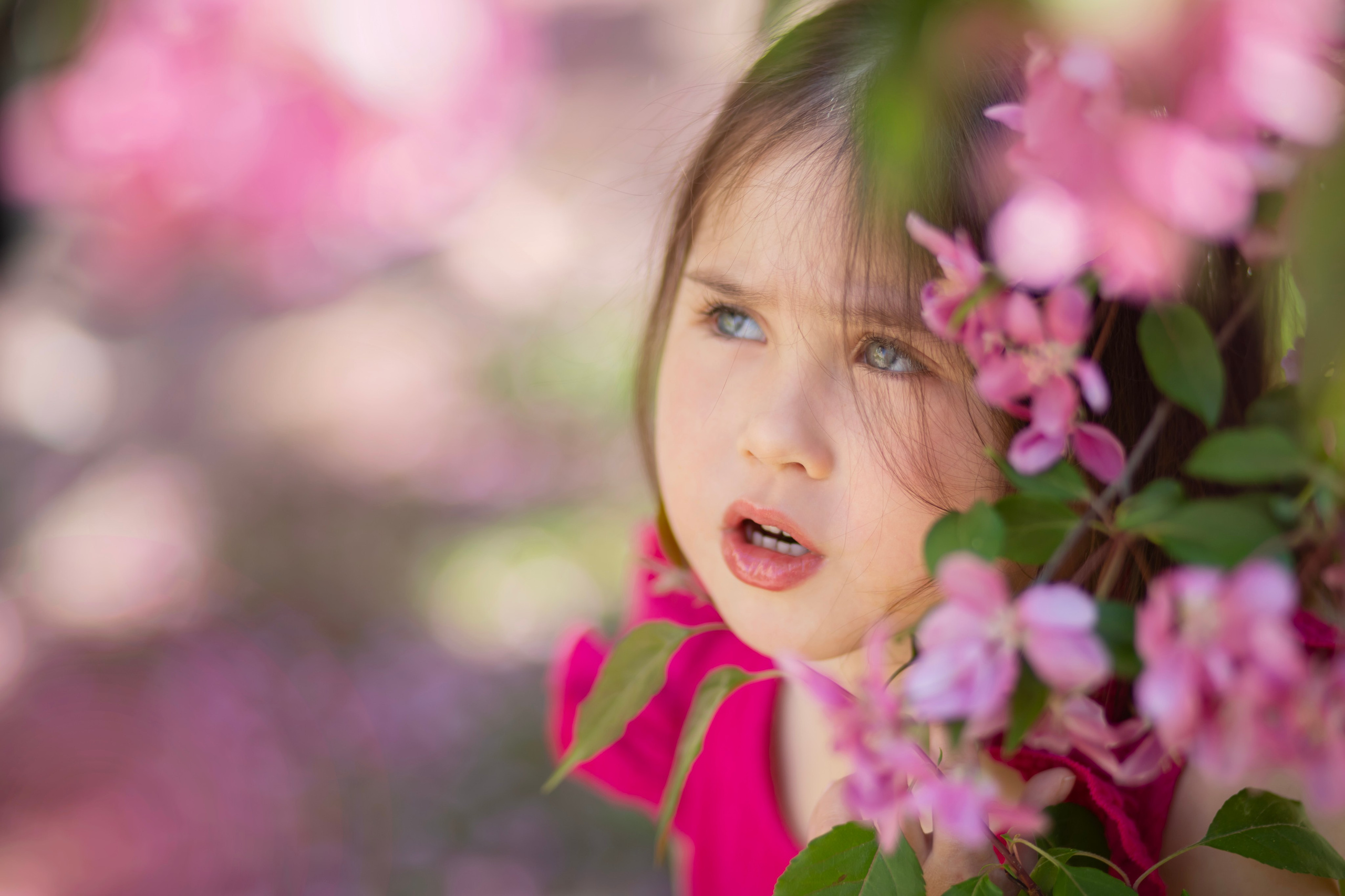 Фотопрогулка-яблони розовые. Семейный и детский фотограф в Москве и МО — Александра