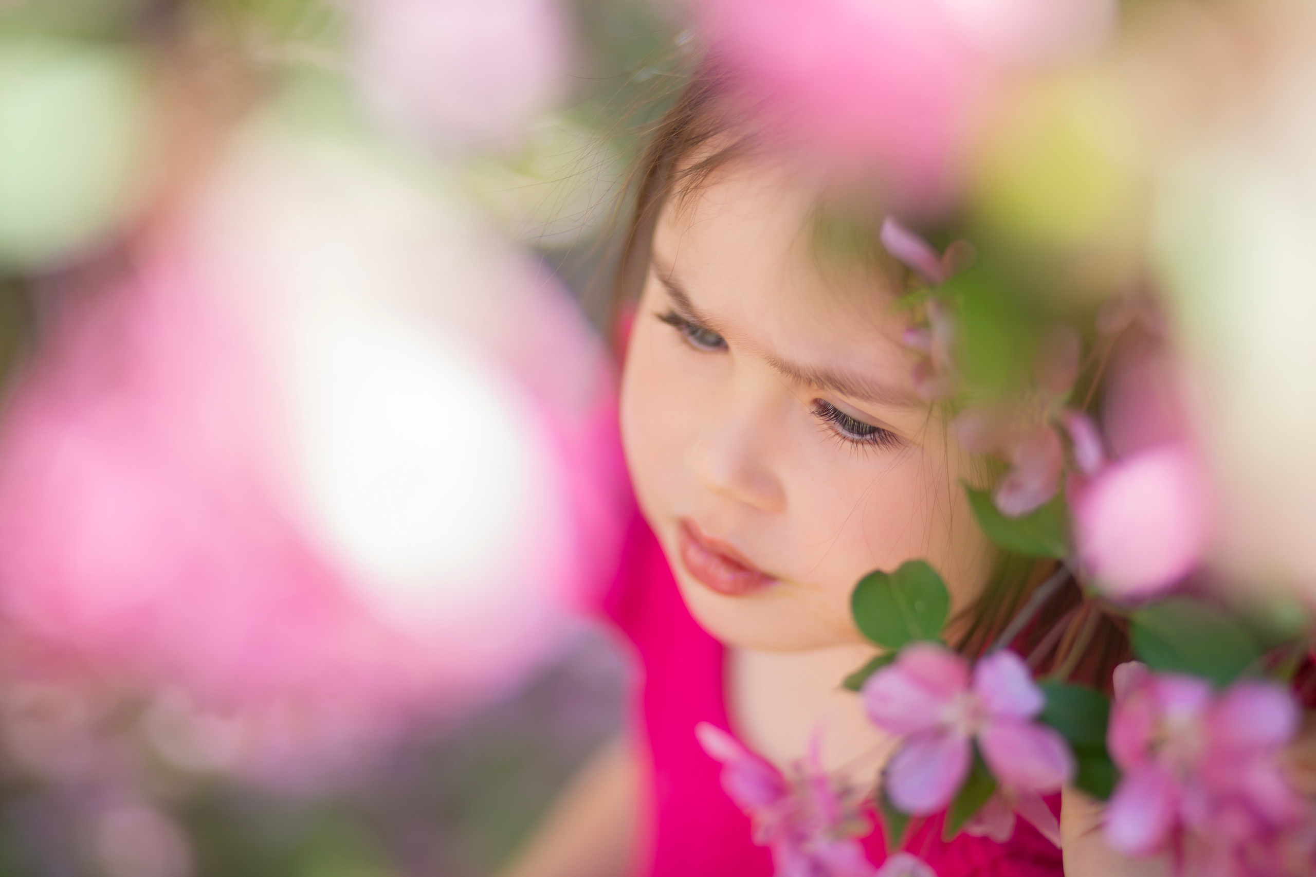 Фотопрогулка-яблони розовые. Семейный и детский фотограф в Москве и МО — Александра