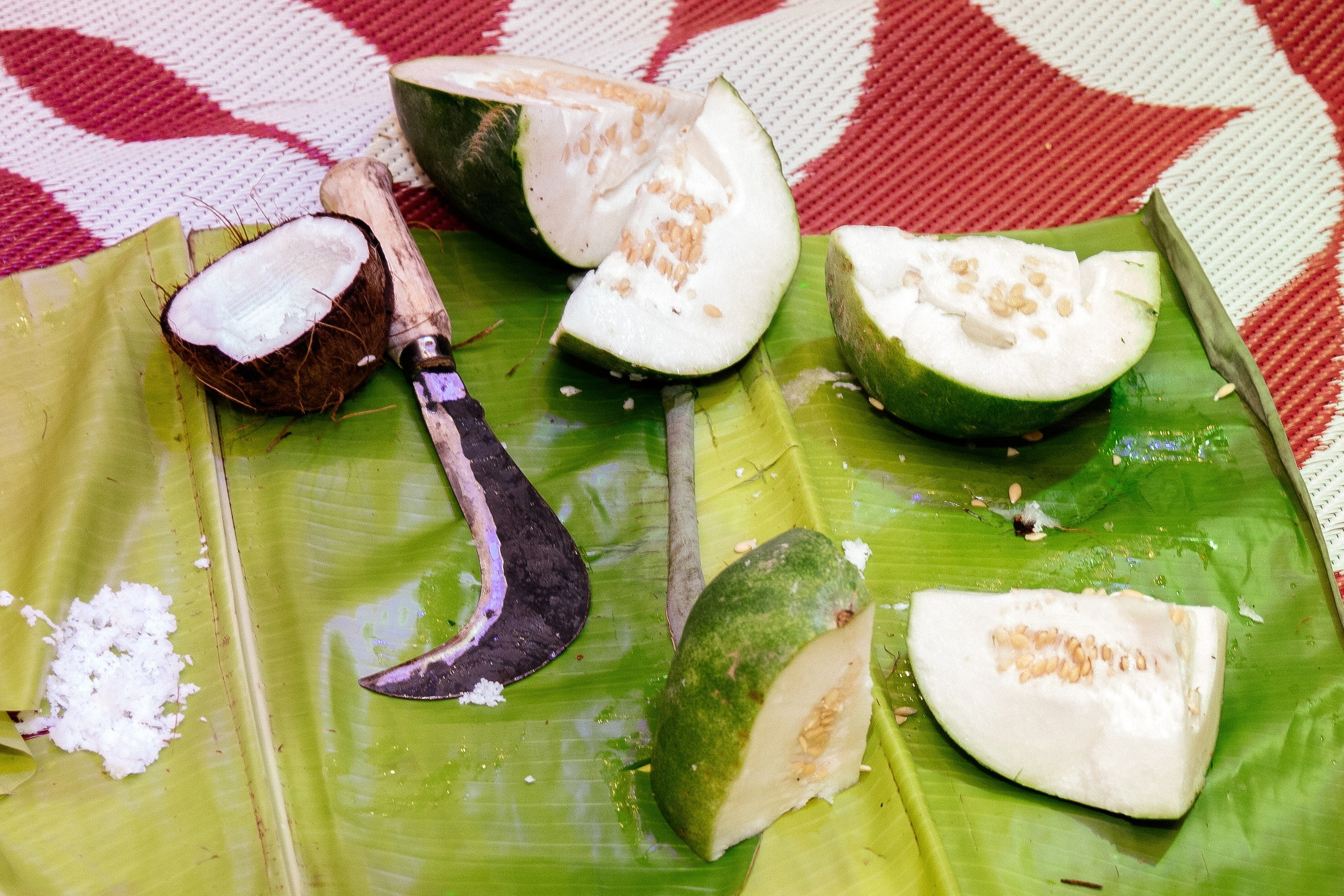 Shalom & Michael. Portrait photographer Toronto