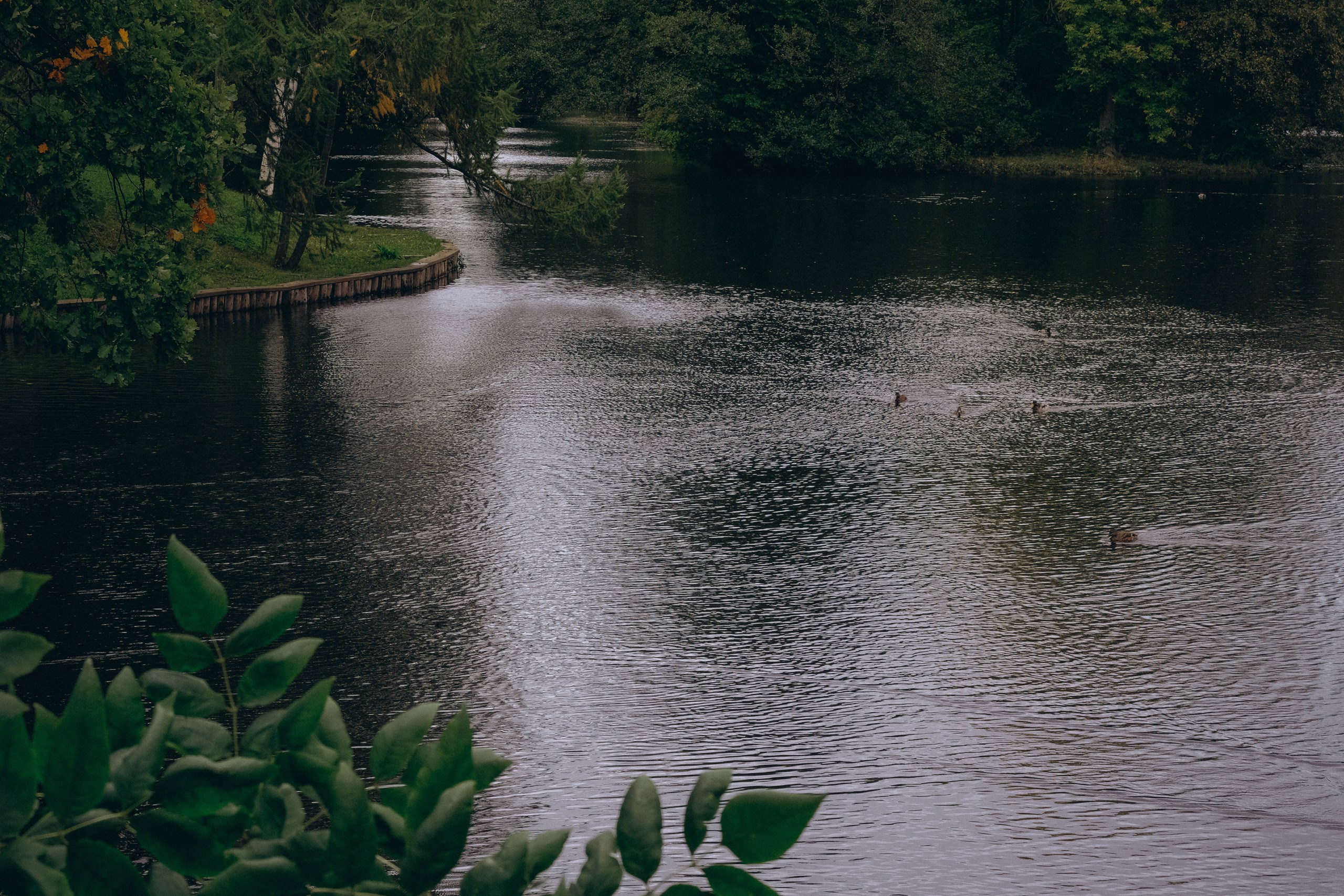 День рождения малышки. Профессиональный фотограф, Санкт-Петербург — Виктория Богомолова