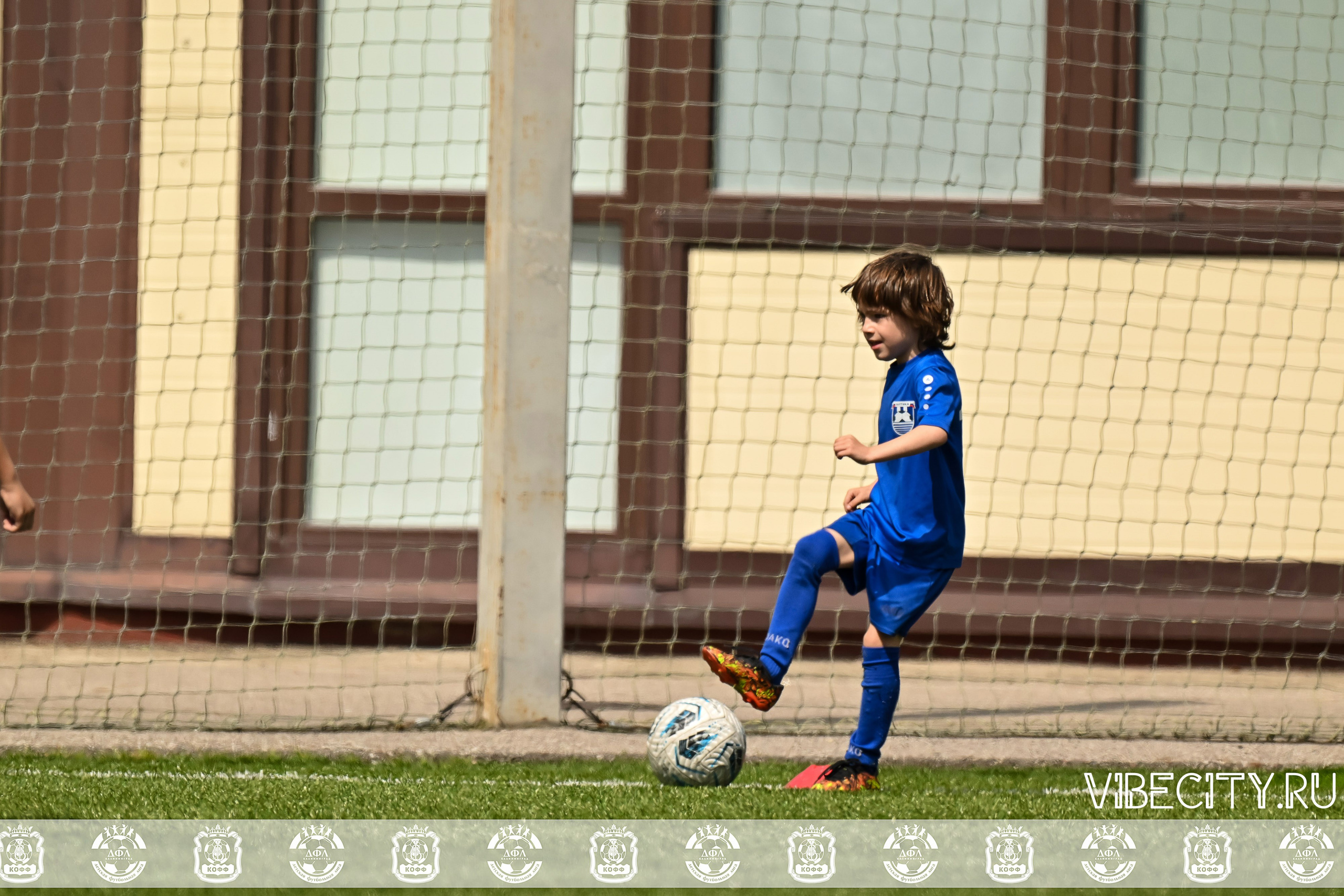 Большие Звезды светят Малым. VIBECITY.RU Вайб Сити Ру Фоторепортажи Фотоотчеты Калининград