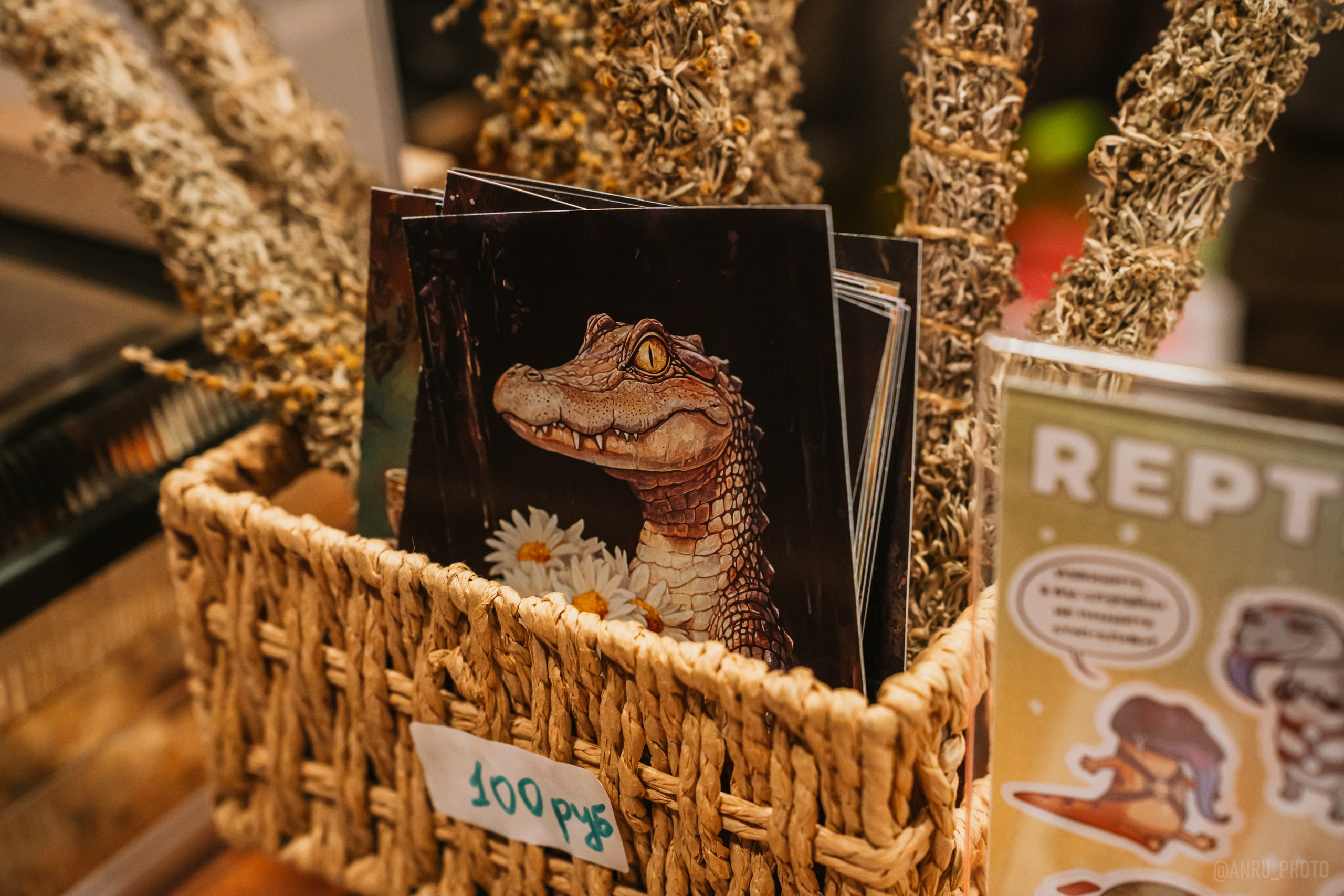 Рептилиум (ручная работа). Репортажный фотограф Анастасия Рубцова