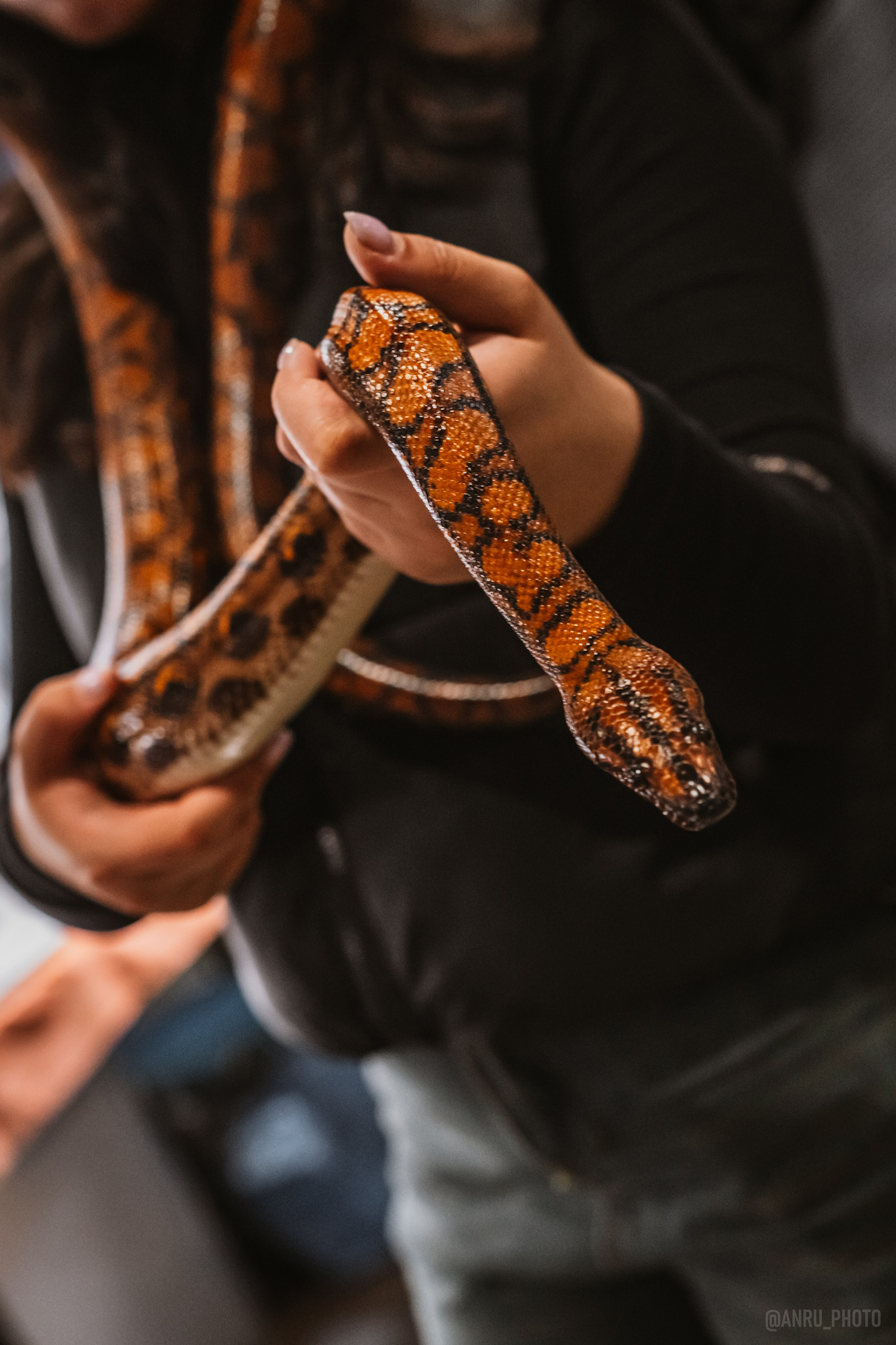 Рептилиум. Репортажный фотограф Анастасия Рубцова