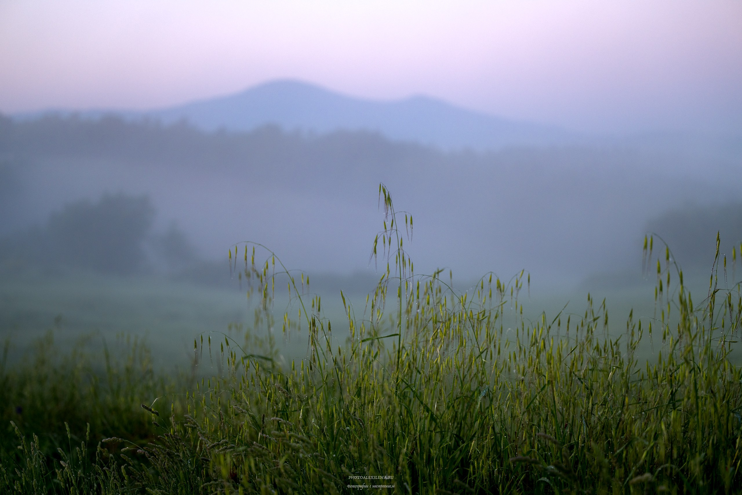 Волшебное утро в Тоскане. Авторские стильные фотокартины