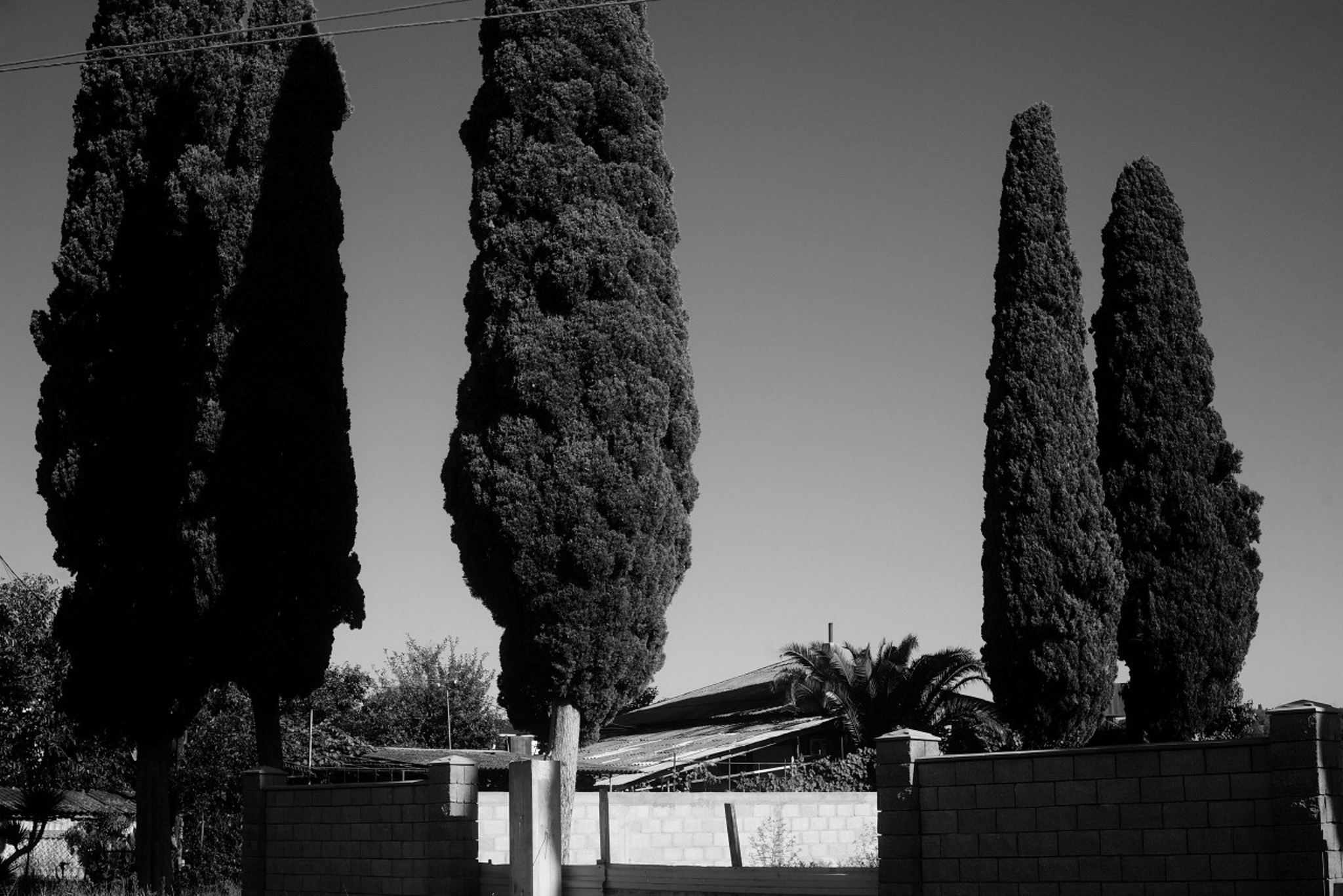 Фотографическое портфолио. Софья Федотова — продюсер, тренер киноактеров