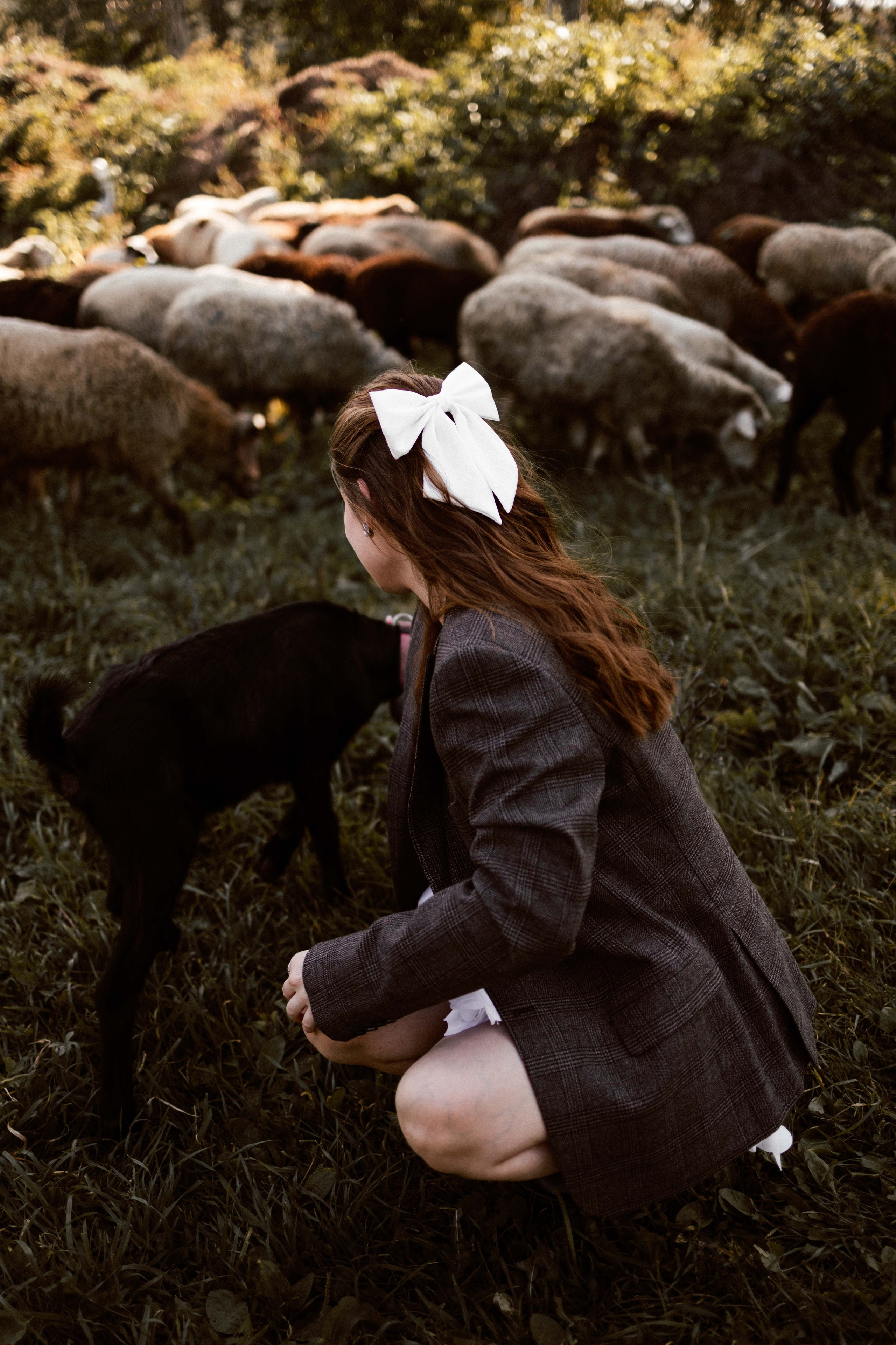 Фотосессия с овечками для Ксюши. Фотограф в Тюмени Башмакова Анна