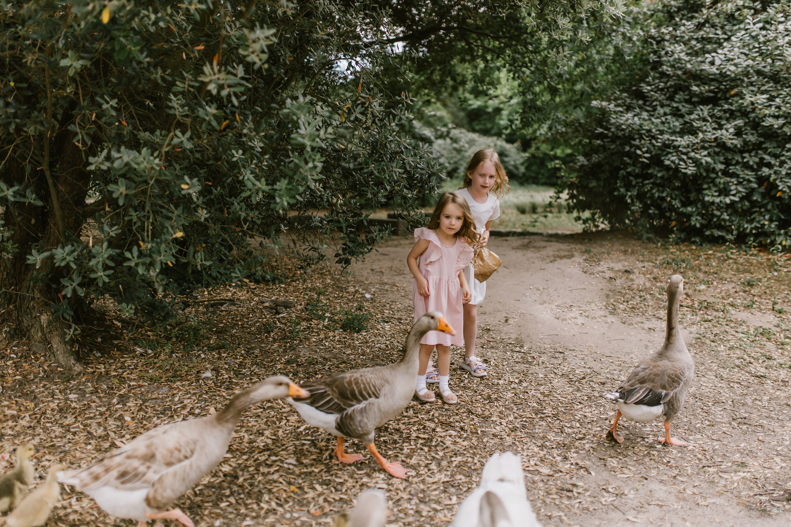 Juli. Wedding and family photographer OLGA KILVEIN