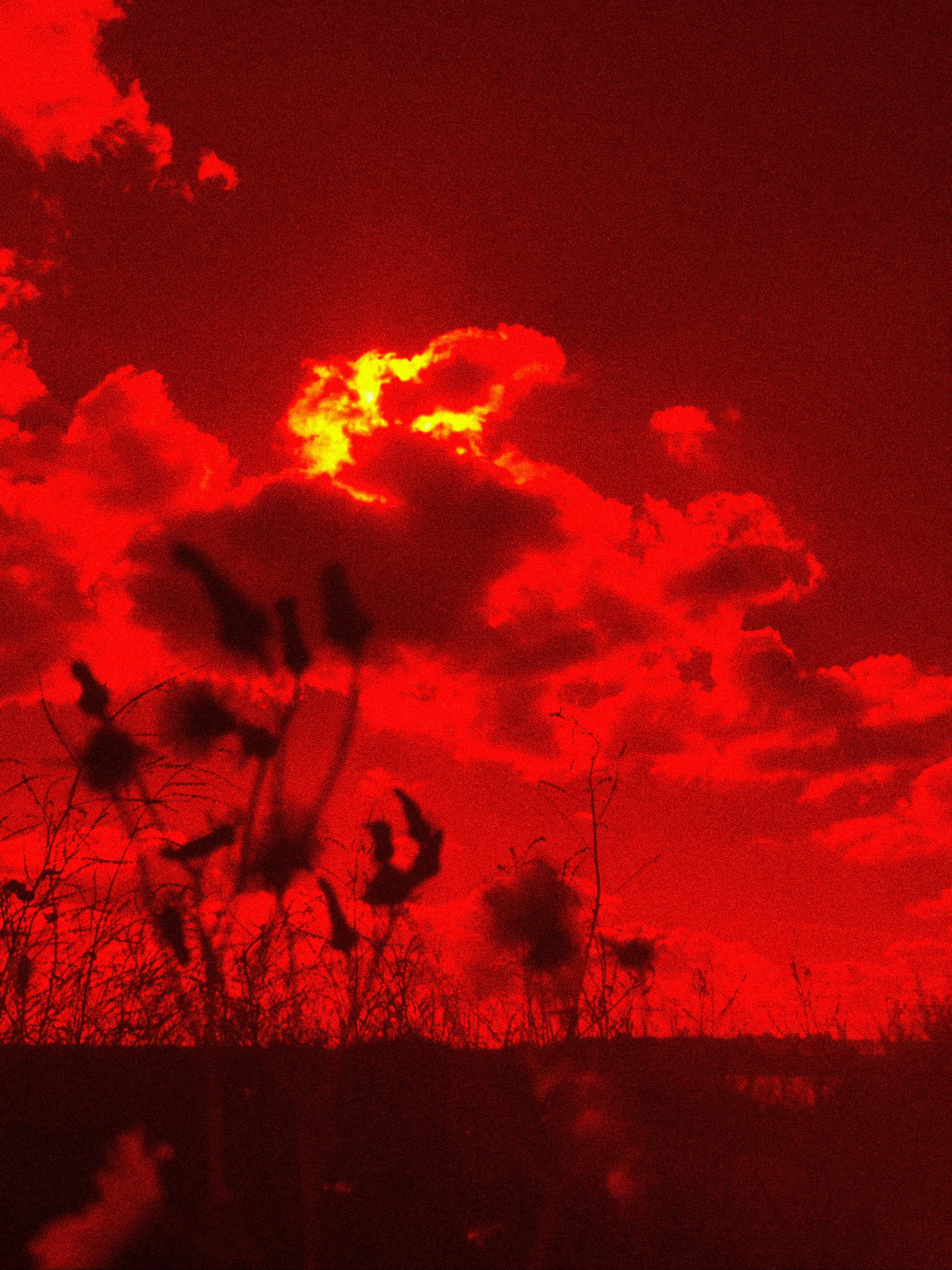 DISTURBING BEAUTY. Evgeniia Mikheeva — International visual artist