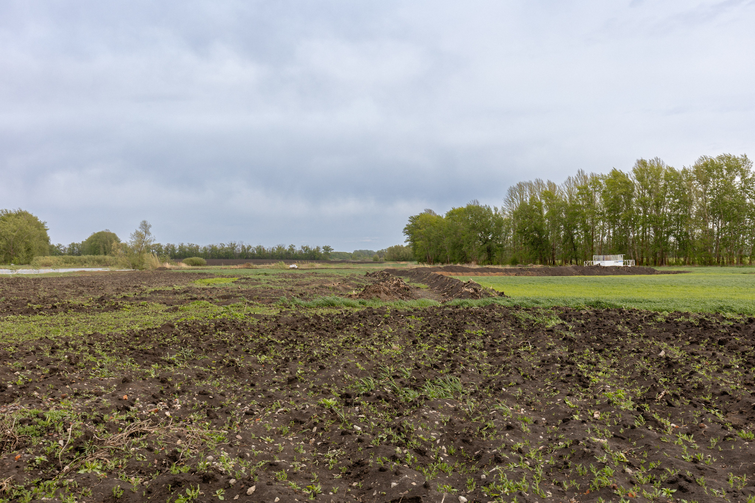 Приусадебный участок. Владислав Волков | Фотография и видеосъемка в Воронеже