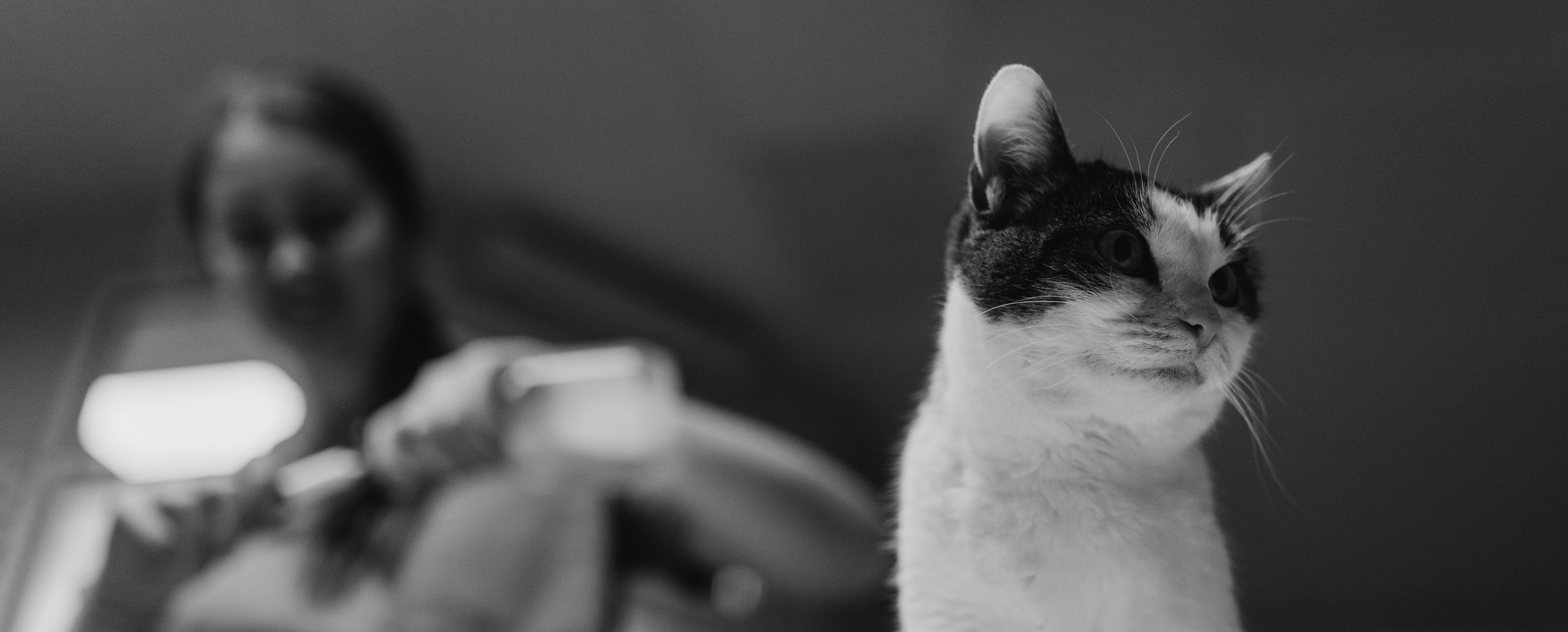 VetLife. Татьяна Афонина | Фотограф