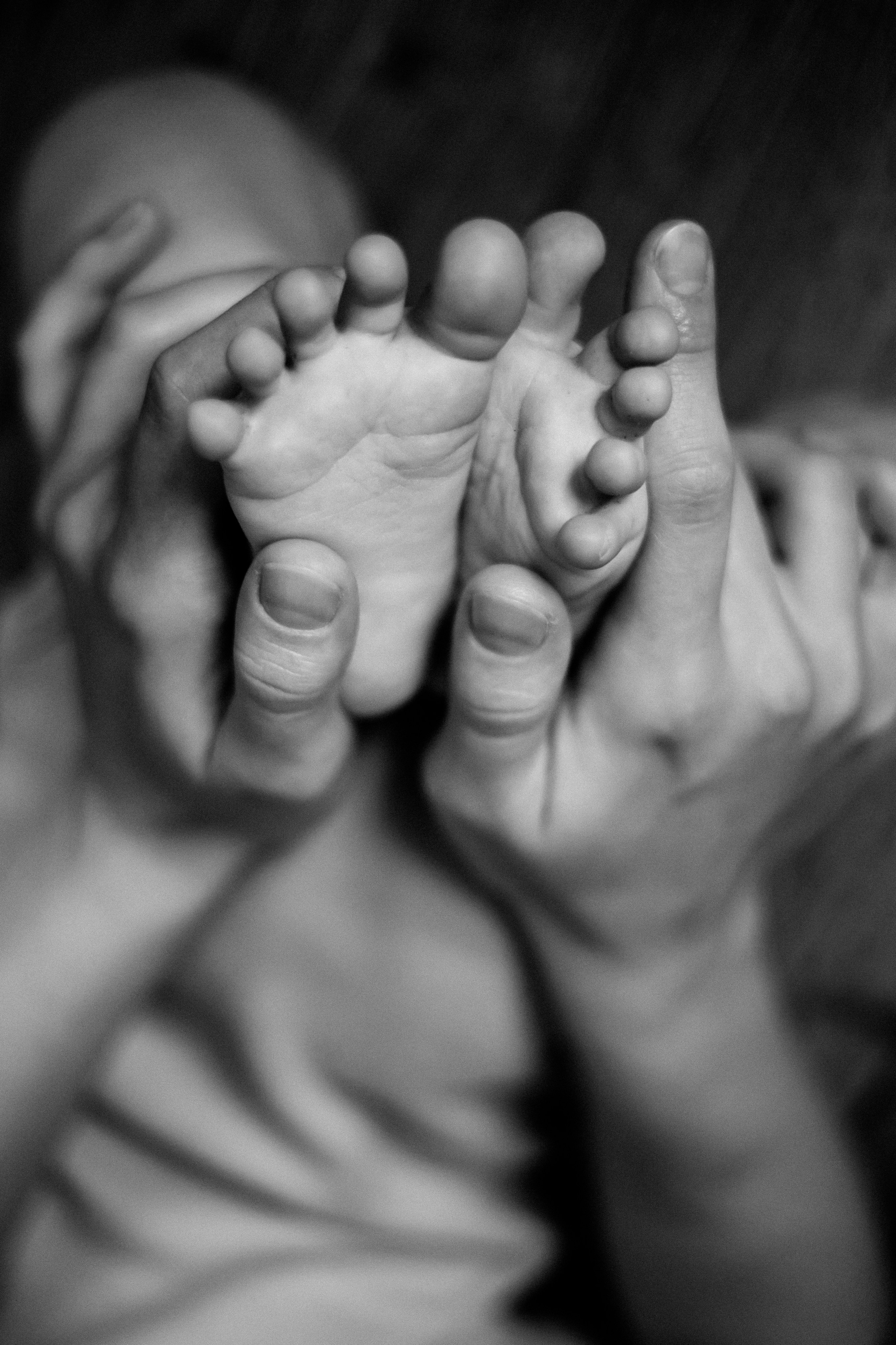 Миша, Алена и Тема. Свадебный и семейный фотограф Ольга Разрядова